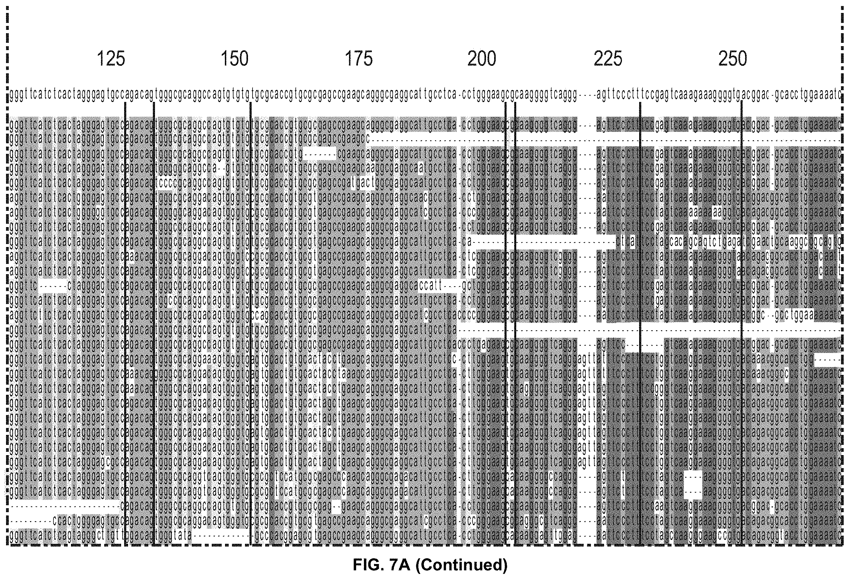 Patent US11793814 Figure 13 – Compositions and methods for treating, preventing or reversing age associated inflammation and disorders