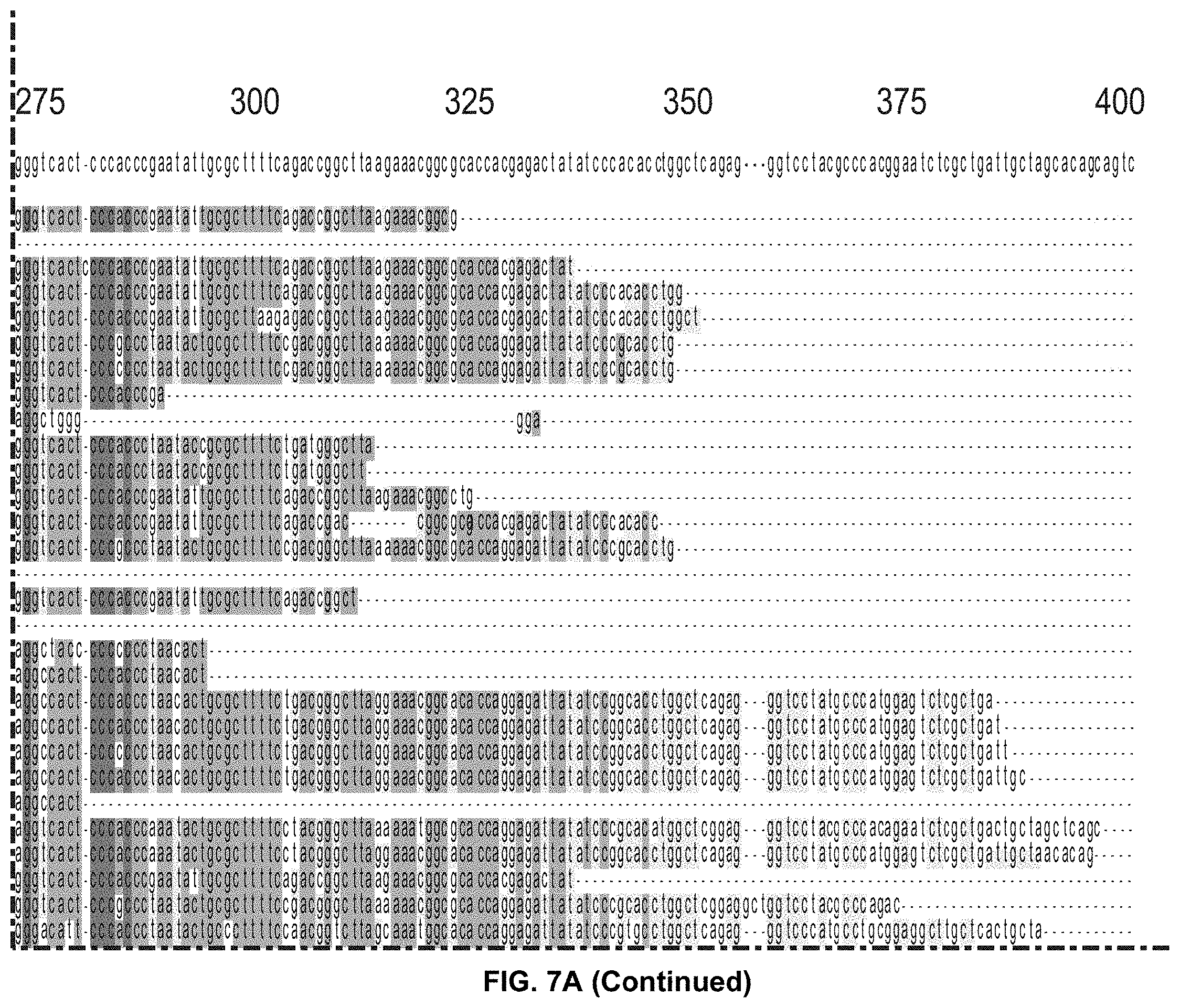 Patent US11793814 Figure 14 – Compositions and methods for treating, preventing or reversing age associated inflammation and disorders