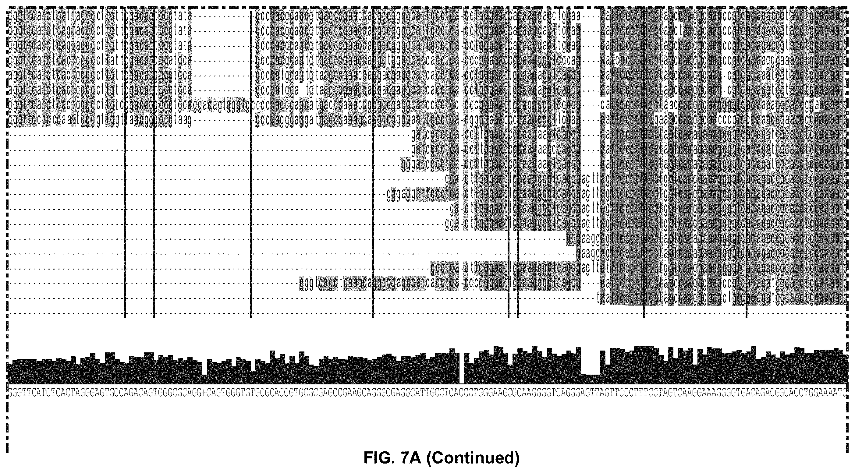 Patent US11793814 Figure 16 – Compositions and methods for treating, preventing or reversing age associated inflammation and disorders