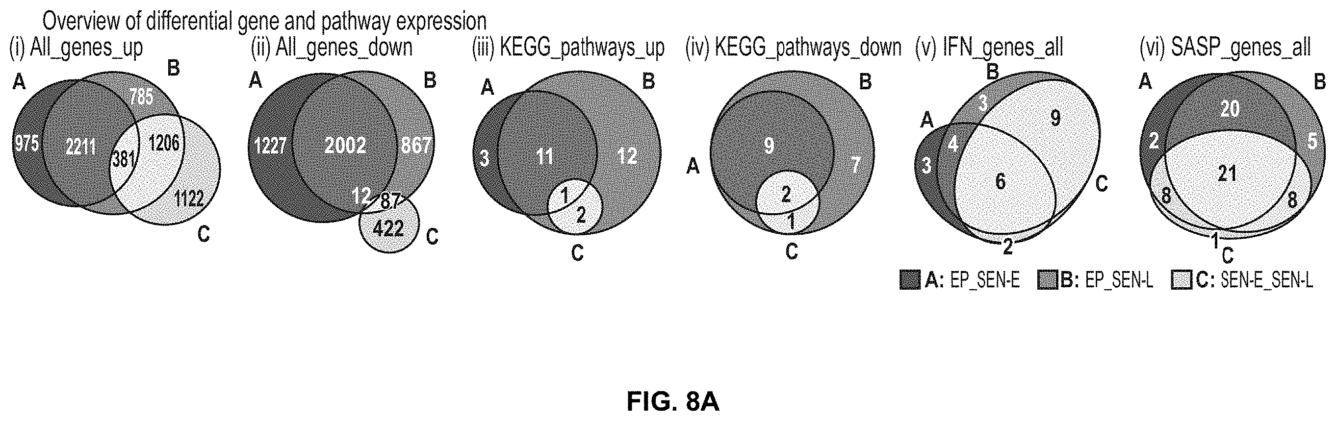 Patent US11793814 Figure 19 – Compositions and methods for treating, preventing or reversing age associated inflammation and disorders