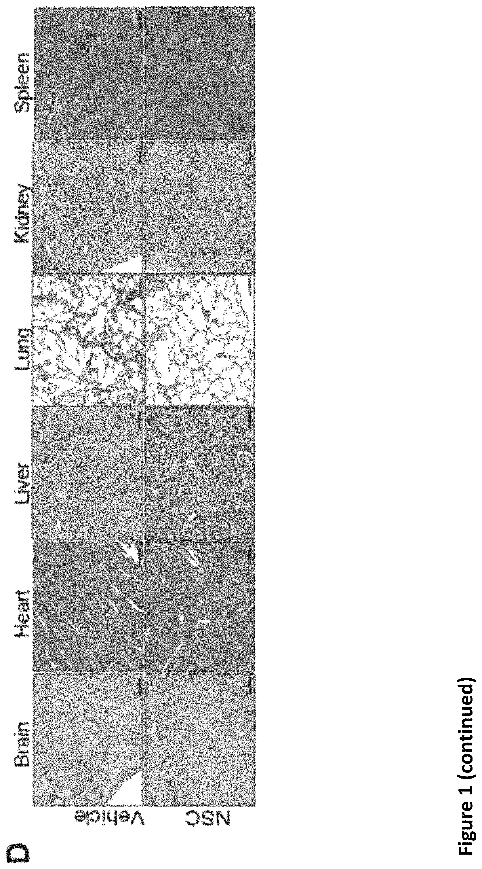Patent US11793816 Figure 3 – Methods for enhancing cytotoxic cancer therapy through inhibition of ATG4B