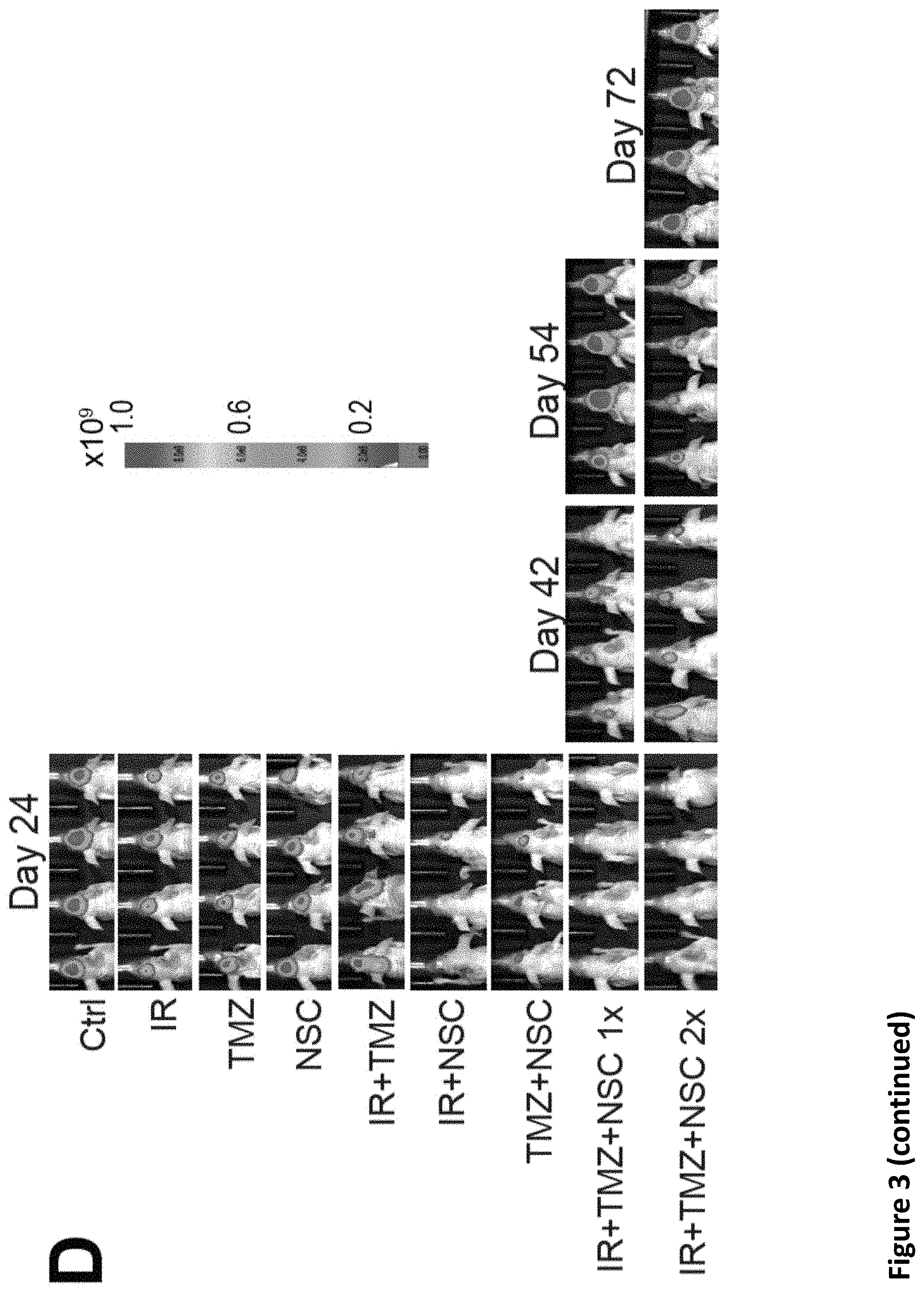 Patent US11793816 Figure 9 – Methods for enhancing cytotoxic cancer therapy through inhibition of ATG4B