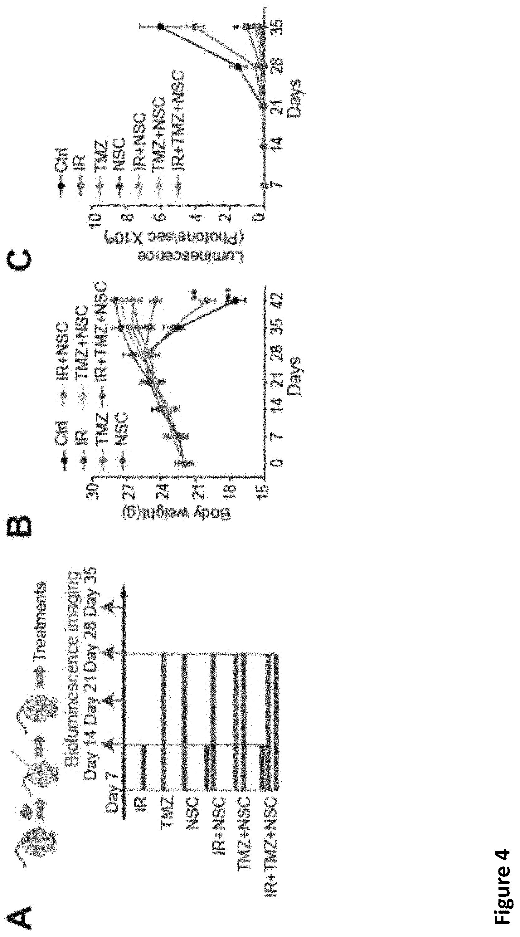 Patent US11793816 Figure 12 – Methods for enhancing cytotoxic cancer therapy through inhibition of ATG4B
