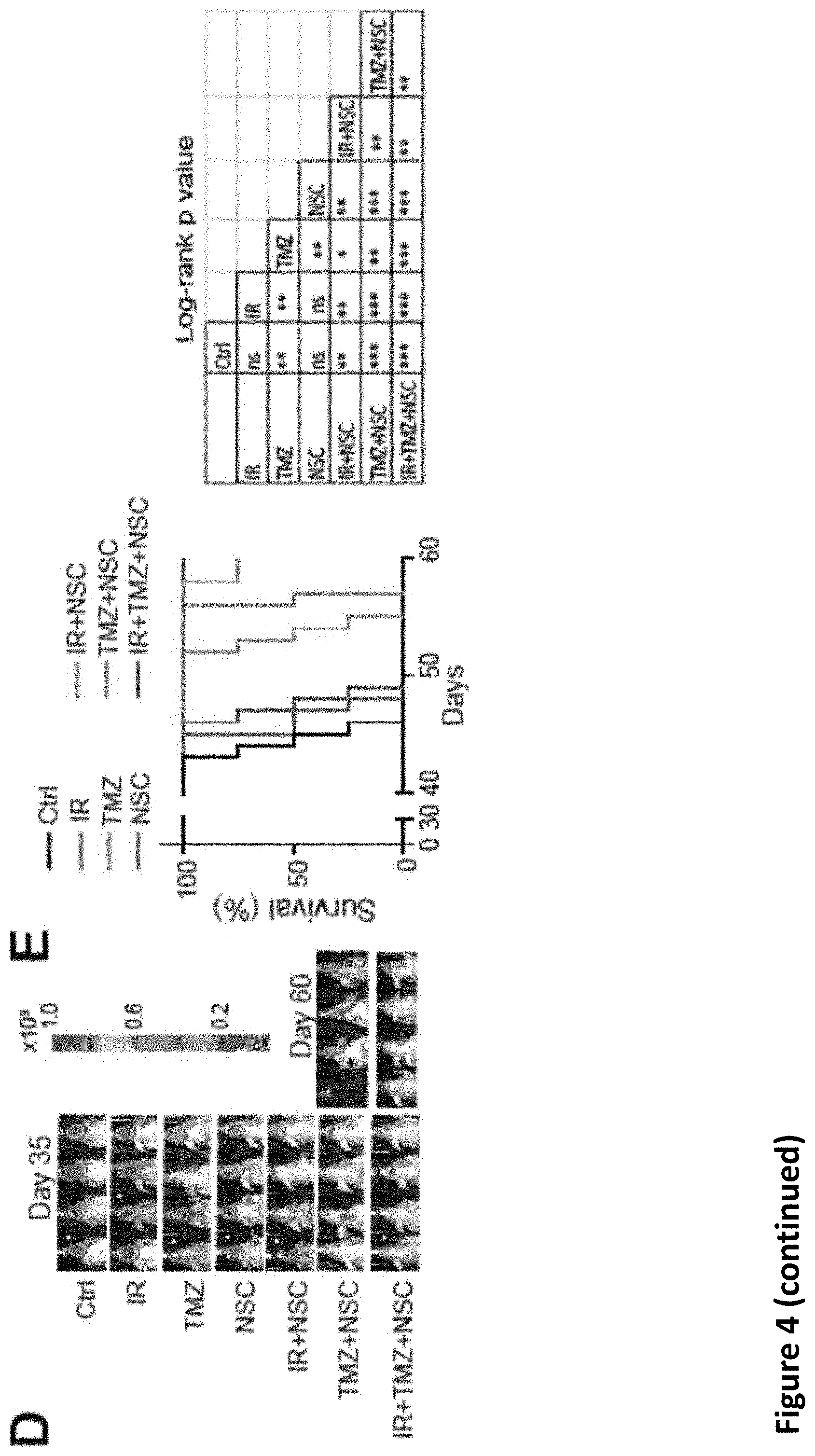 Patent US11793816 Figure 13 – Methods for enhancing cytotoxic cancer therapy through inhibition of ATG4B