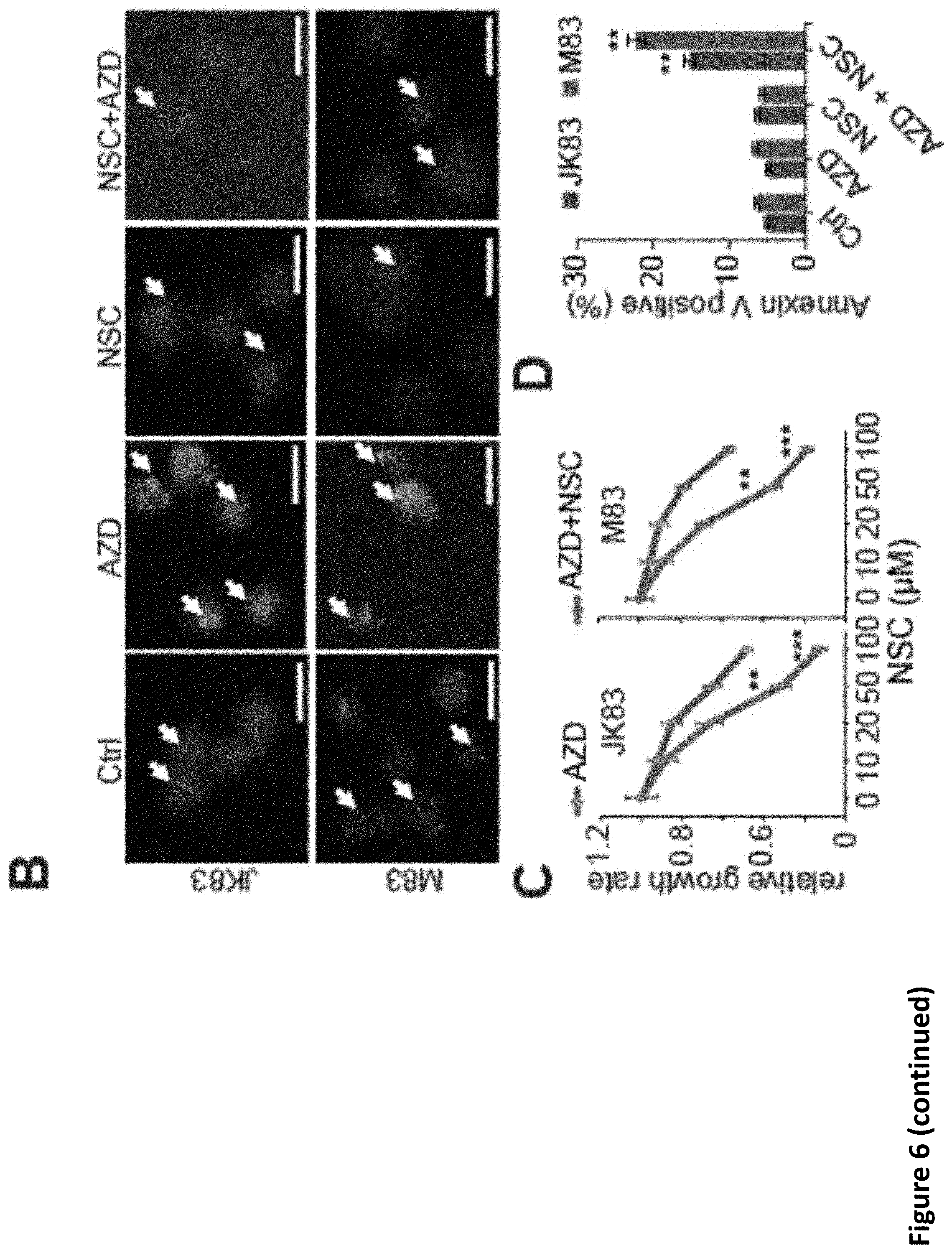 Patent US11793816 Figure 16 – Methods for enhancing cytotoxic cancer therapy through inhibition of ATG4B