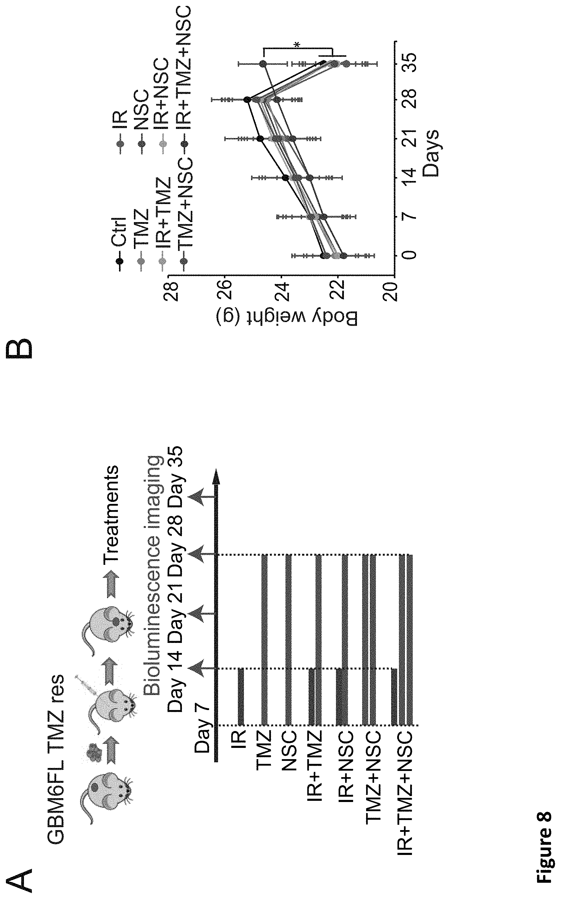 Patent US11793816 Figure 19 – Methods for enhancing cytotoxic cancer therapy through inhibition of ATG4B