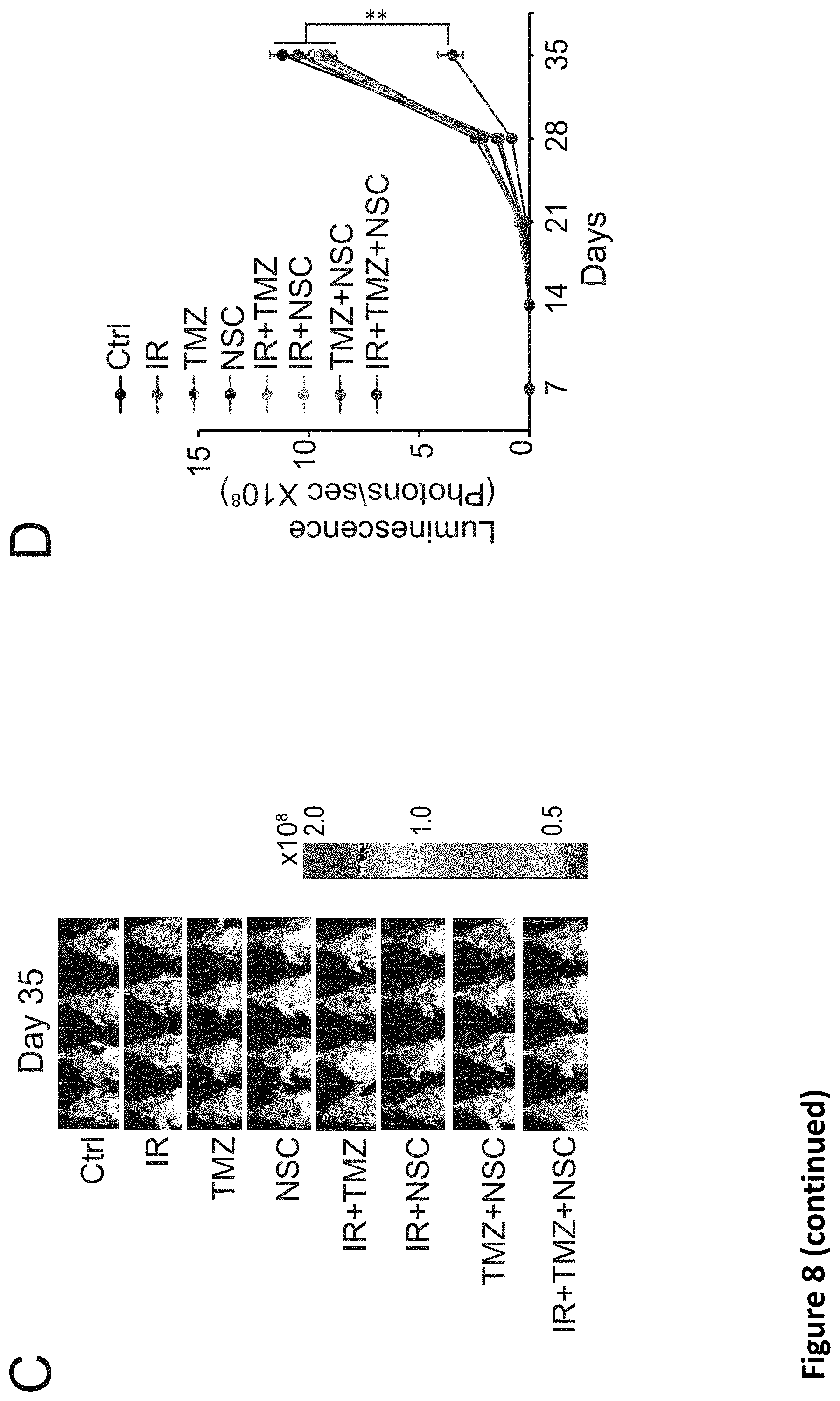 Patent US11793816 Figure 20 – Methods for enhancing cytotoxic cancer therapy through inhibition of ATG4B