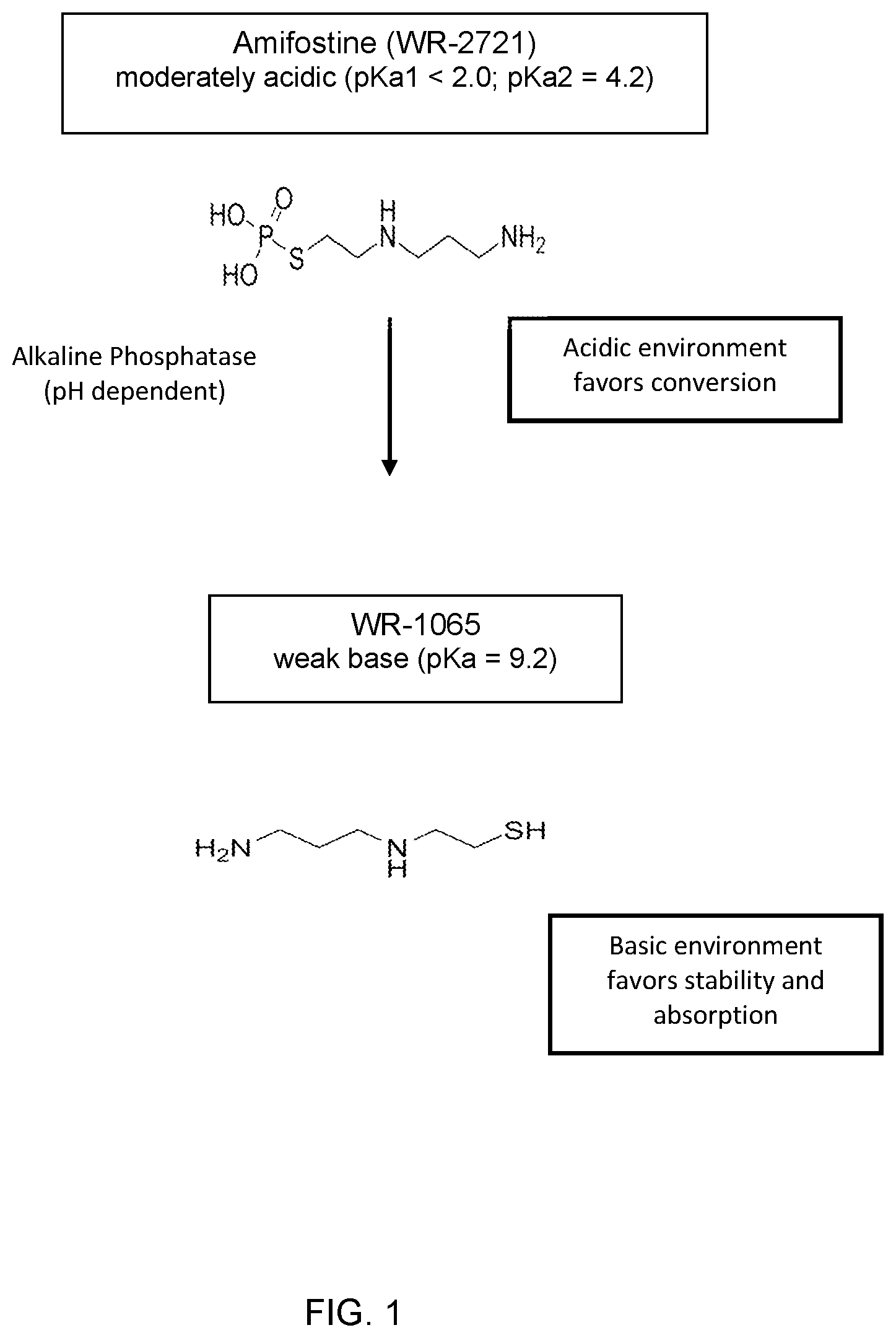 Patent US11793820 Figure 1 – Dry powder foamable formulations for delivery of medicaments through the mucosa