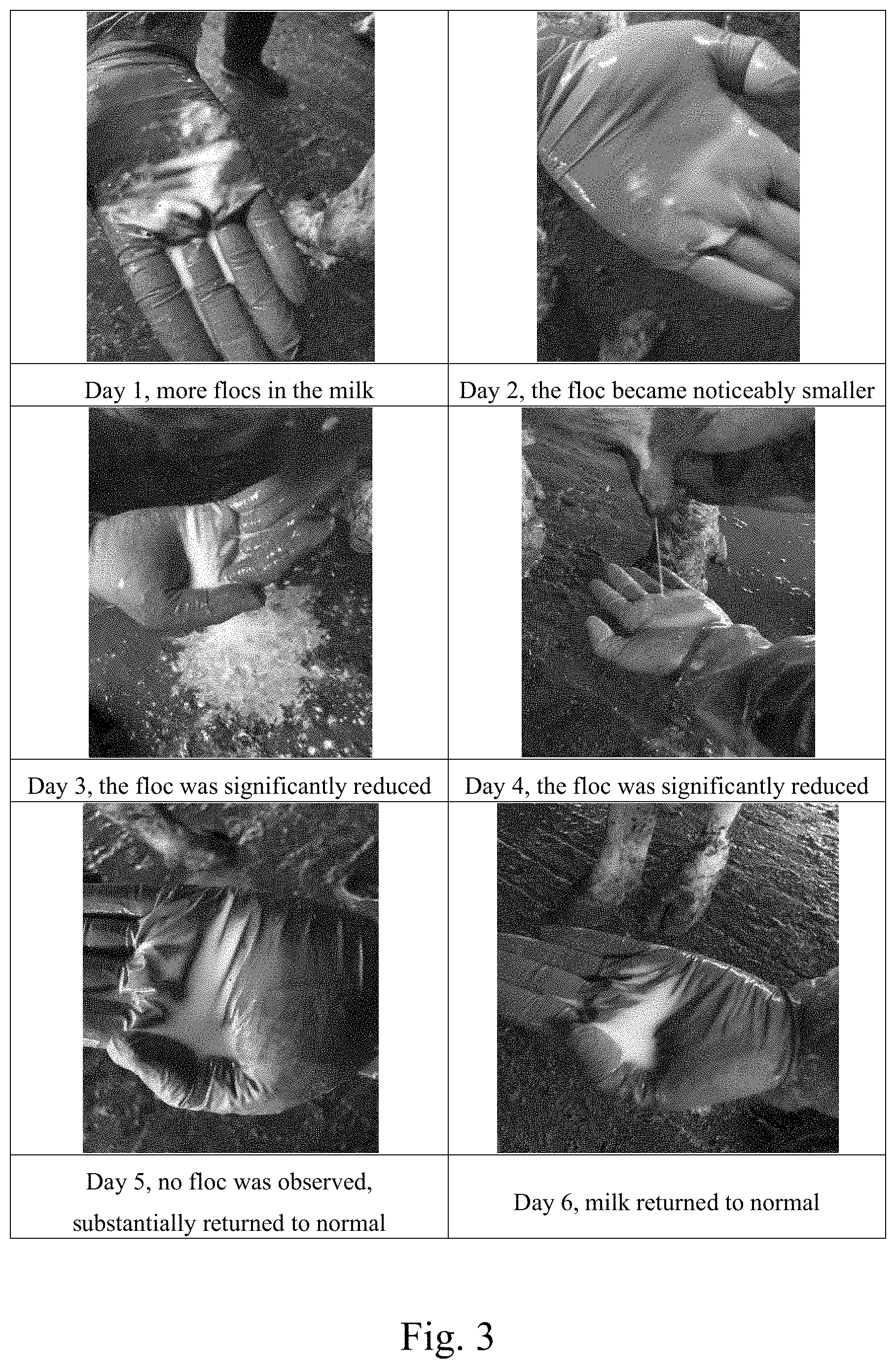 Patent US11793822 Figure 3 – Uses of Pulsatilla Chinensis extract in preparing drug for treating viral and/or bacterial diseases