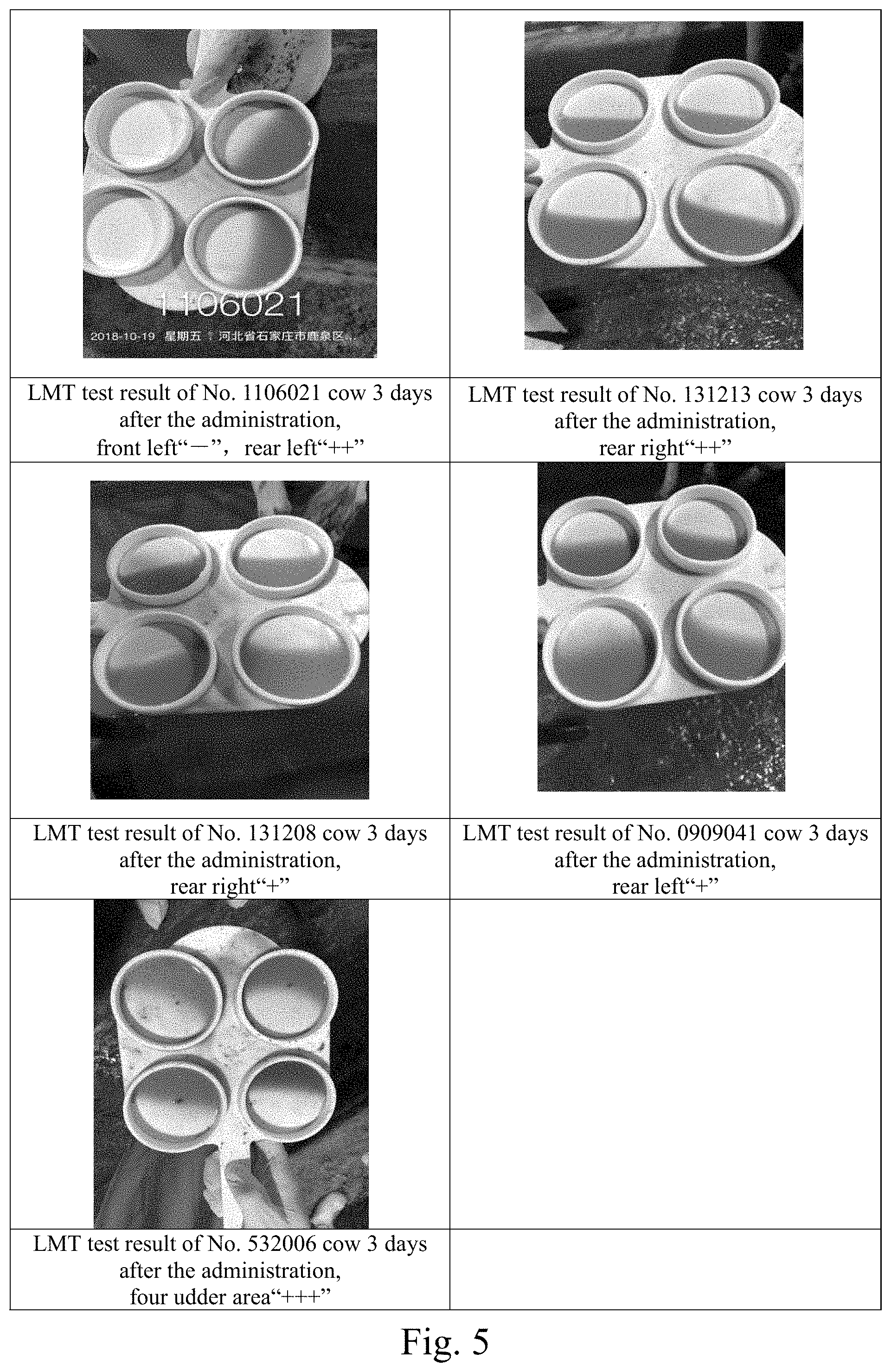 Patent US11793822 Figure 5 – Uses of Pulsatilla Chinensis extract in preparing drug for treating viral and/or bacterial diseases