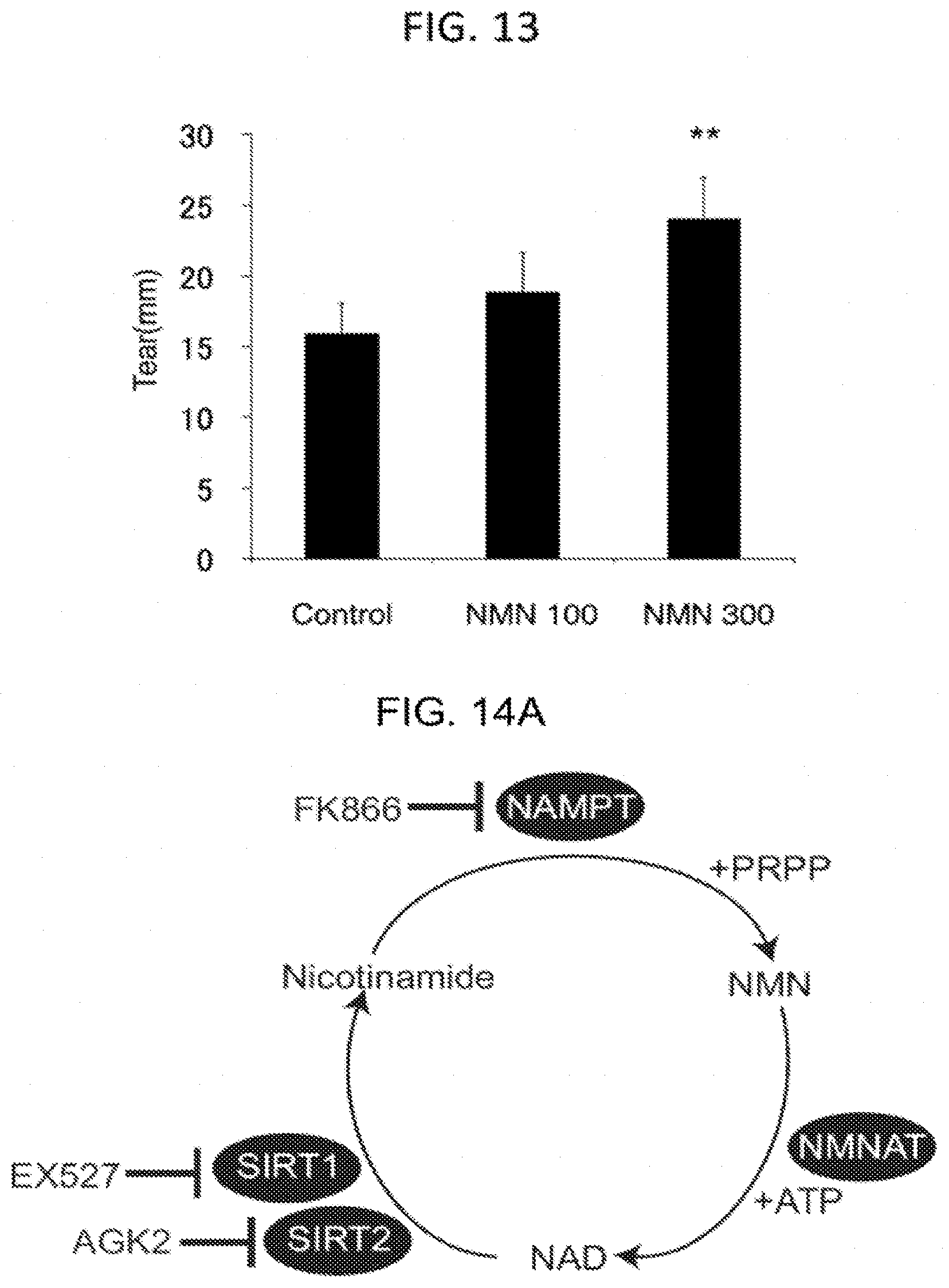 Patent US11793824 Figure 13 – Administration of nicotinamide mononucleotide in the treatment of disease