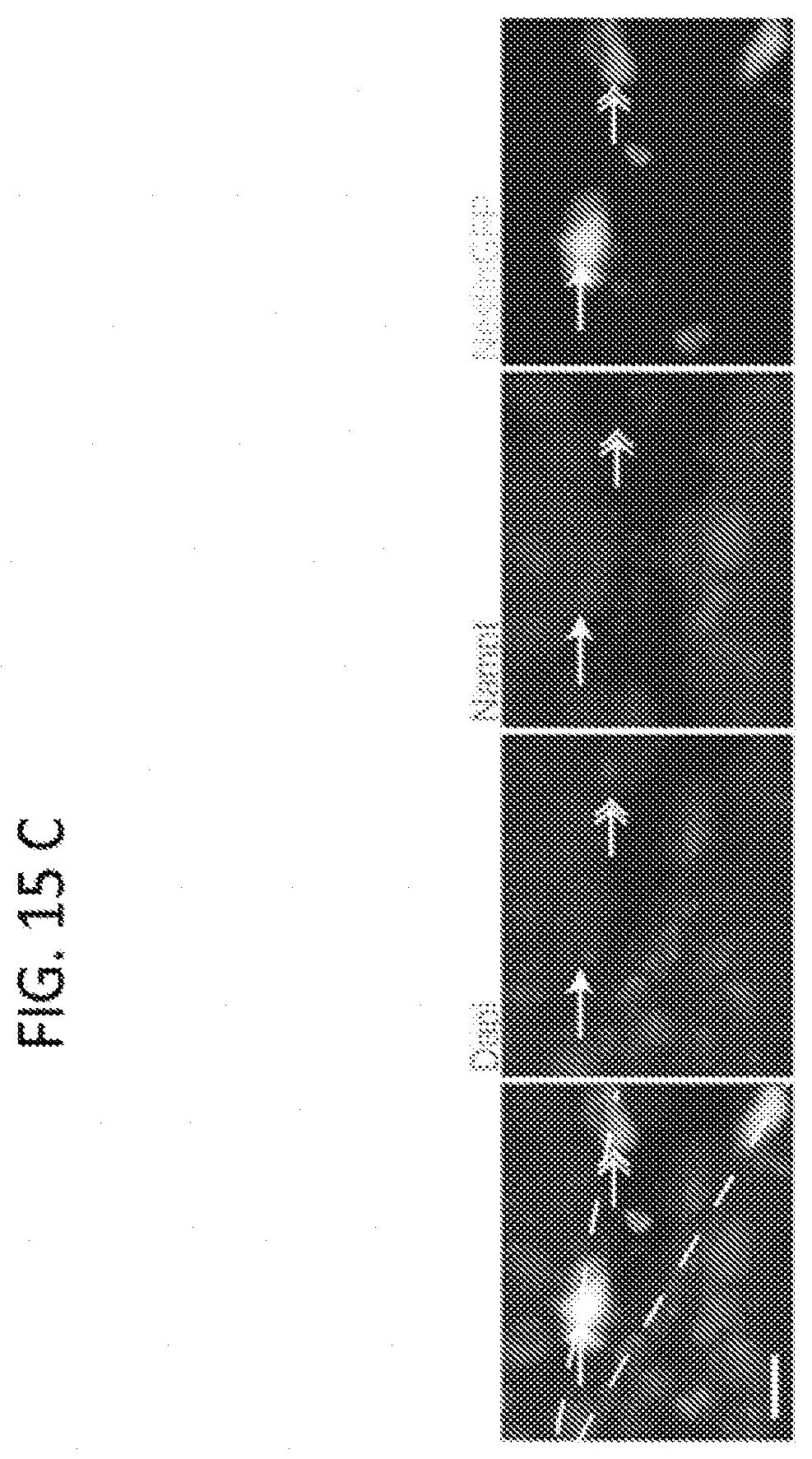 Patent US11793824 Figure 18 – Administration of nicotinamide mononucleotide in the treatment of disease