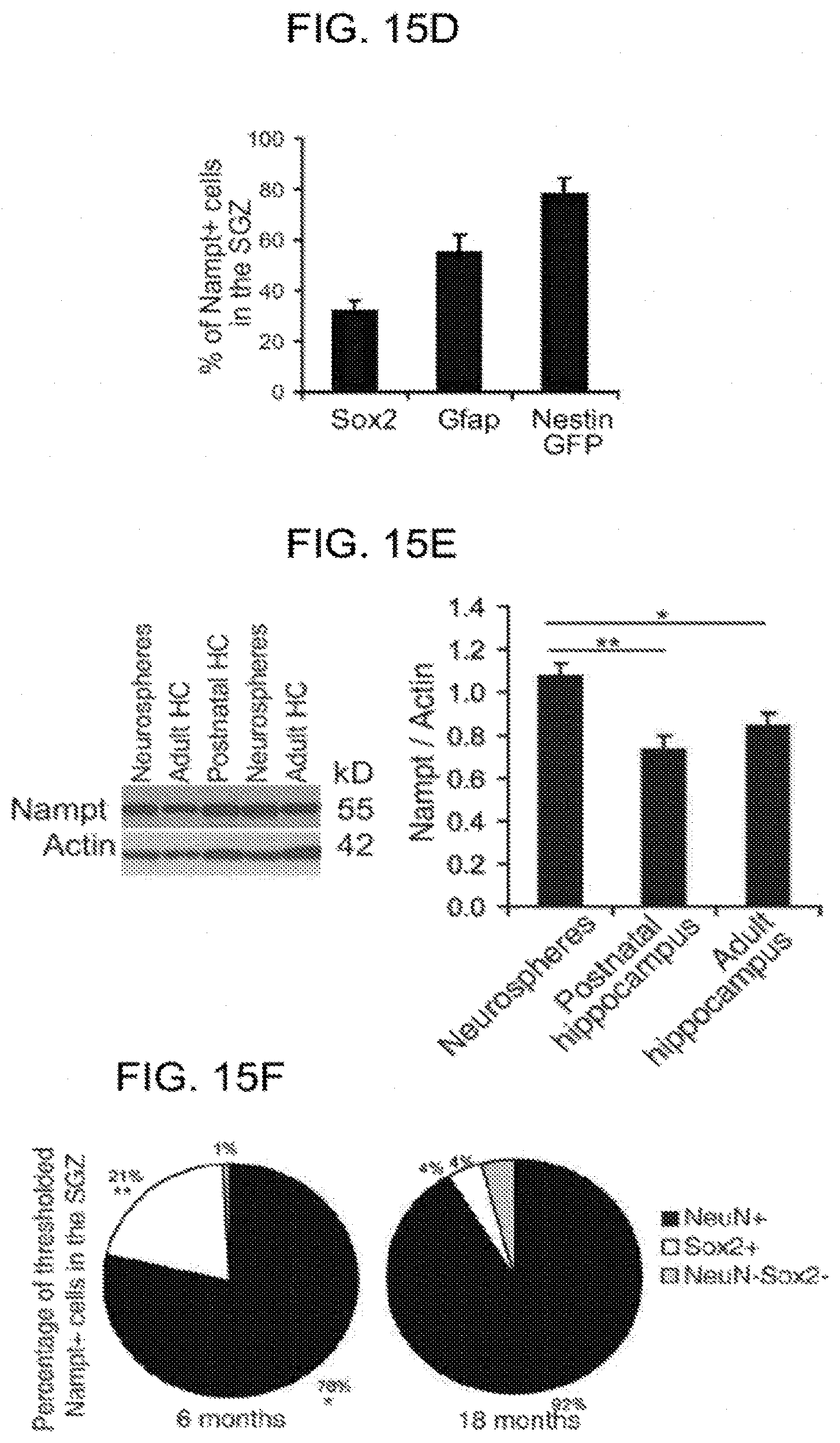 Patent US11793824 Figure 19 – Administration of nicotinamide mononucleotide in the treatment of disease