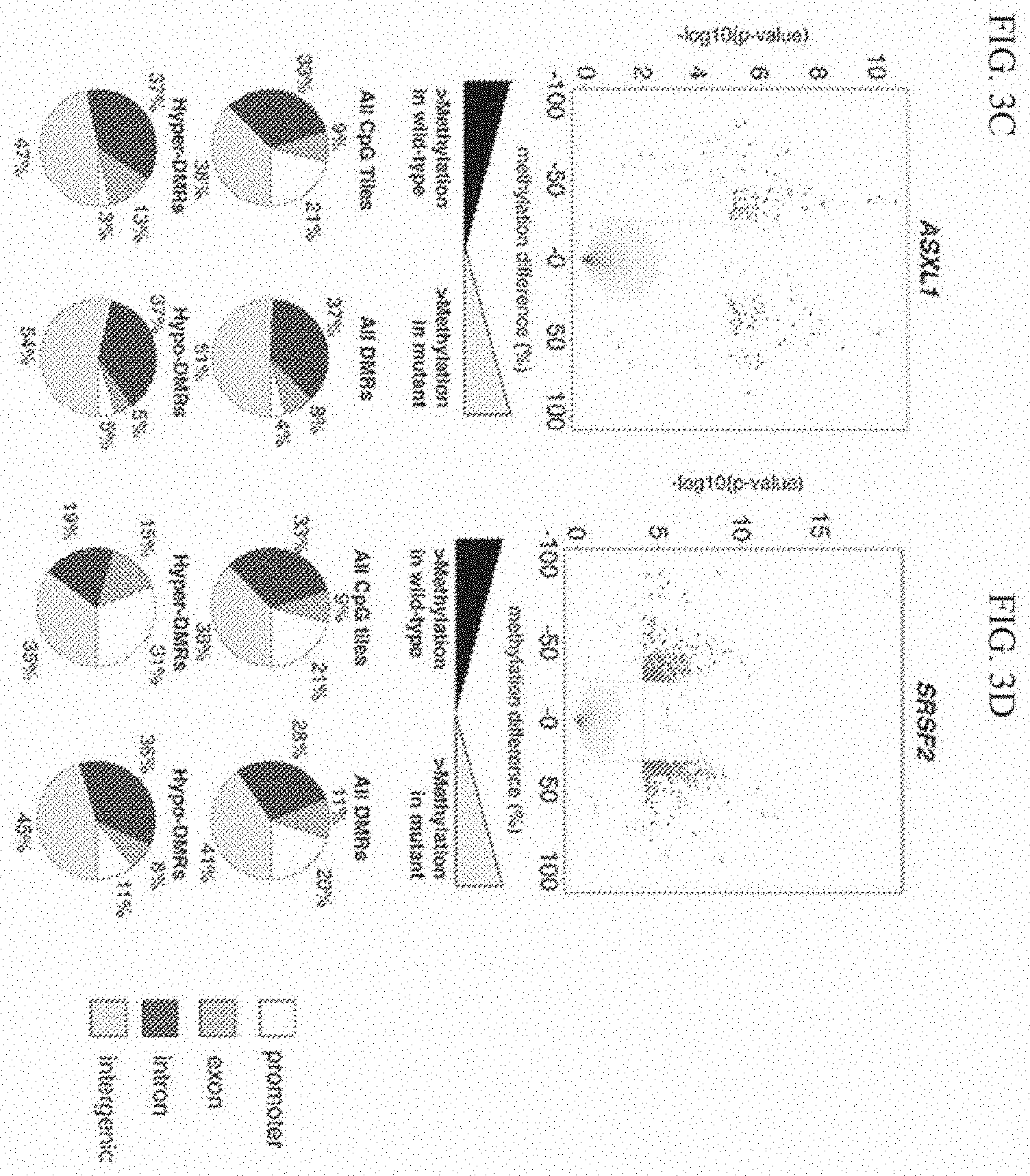 Patent US11793825 Figure 4 – Biomarkers for predicting responsiveness to decitabine therapy