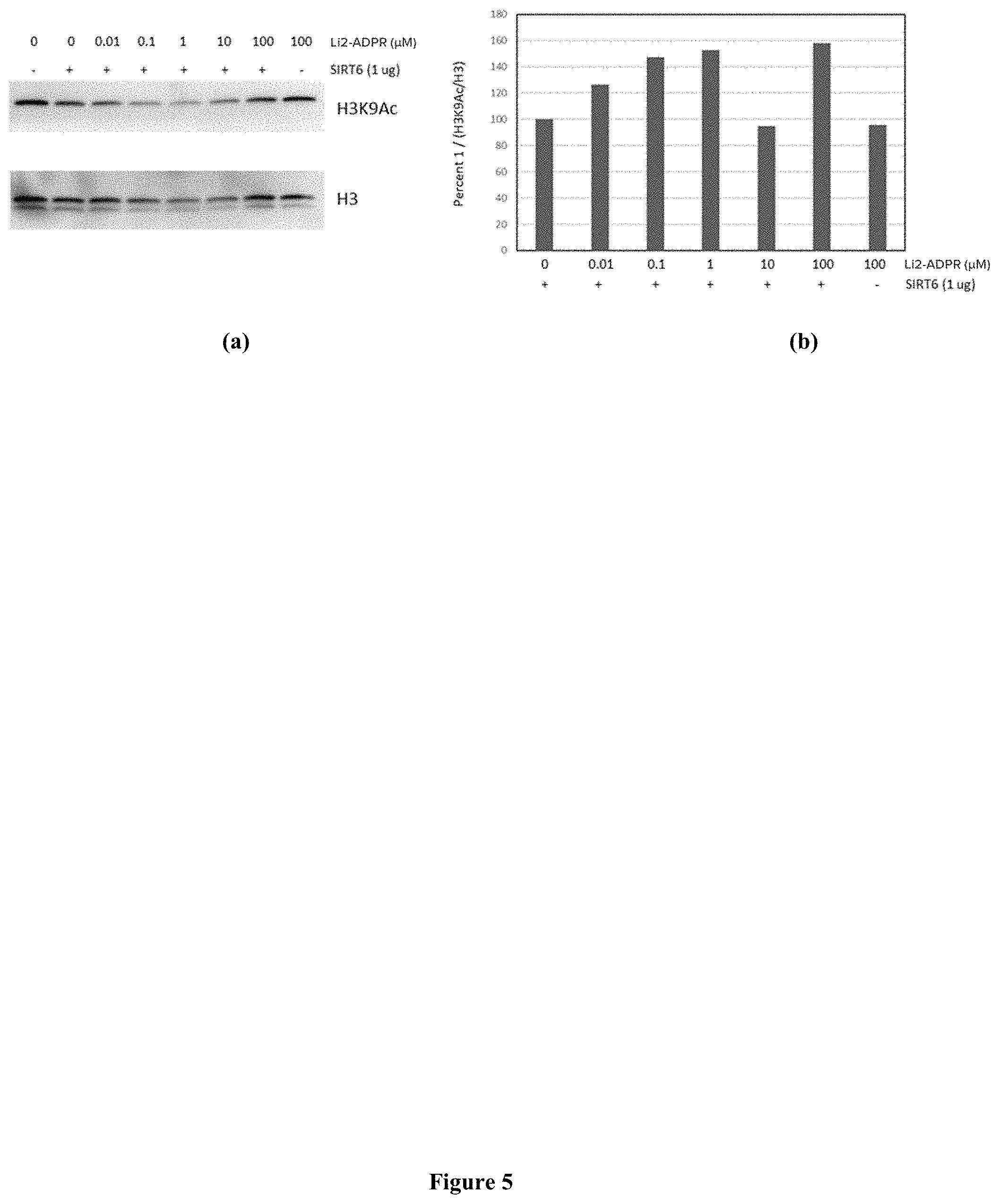 Patent US11793826 Figure 5 – Methods for the use of 5′-adenosine diphosphate ribose (ADPR)
