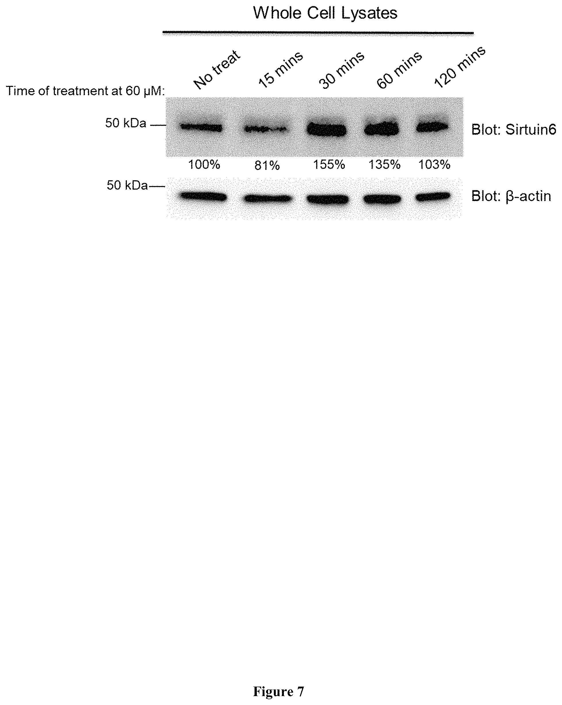Patent US11793826 Figure 7 – Methods for the use of 5′-adenosine diphosphate ribose (ADPR)