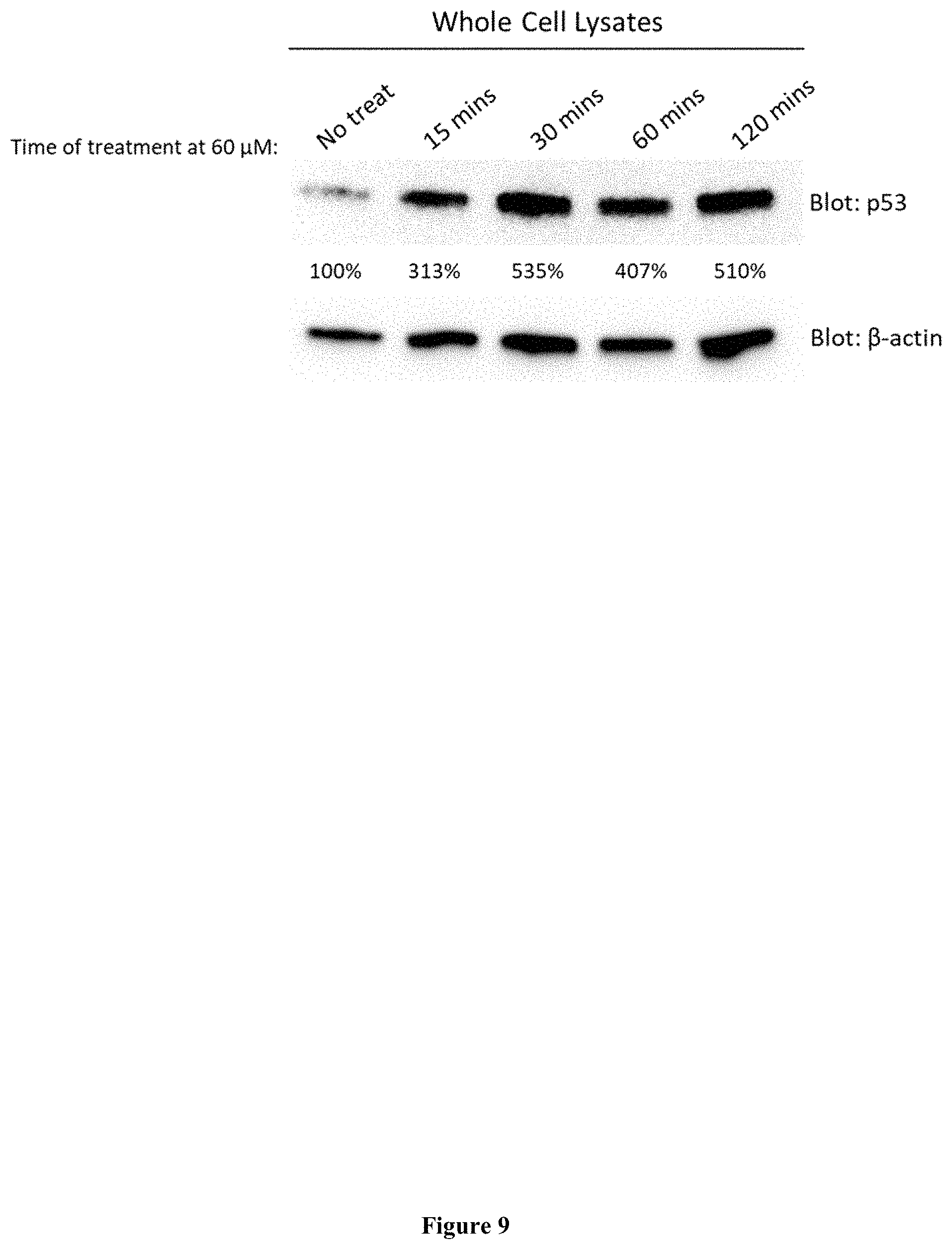 Patent US11793826 Figure 9 – Methods for the use of 5′-adenosine diphosphate ribose (ADPR)