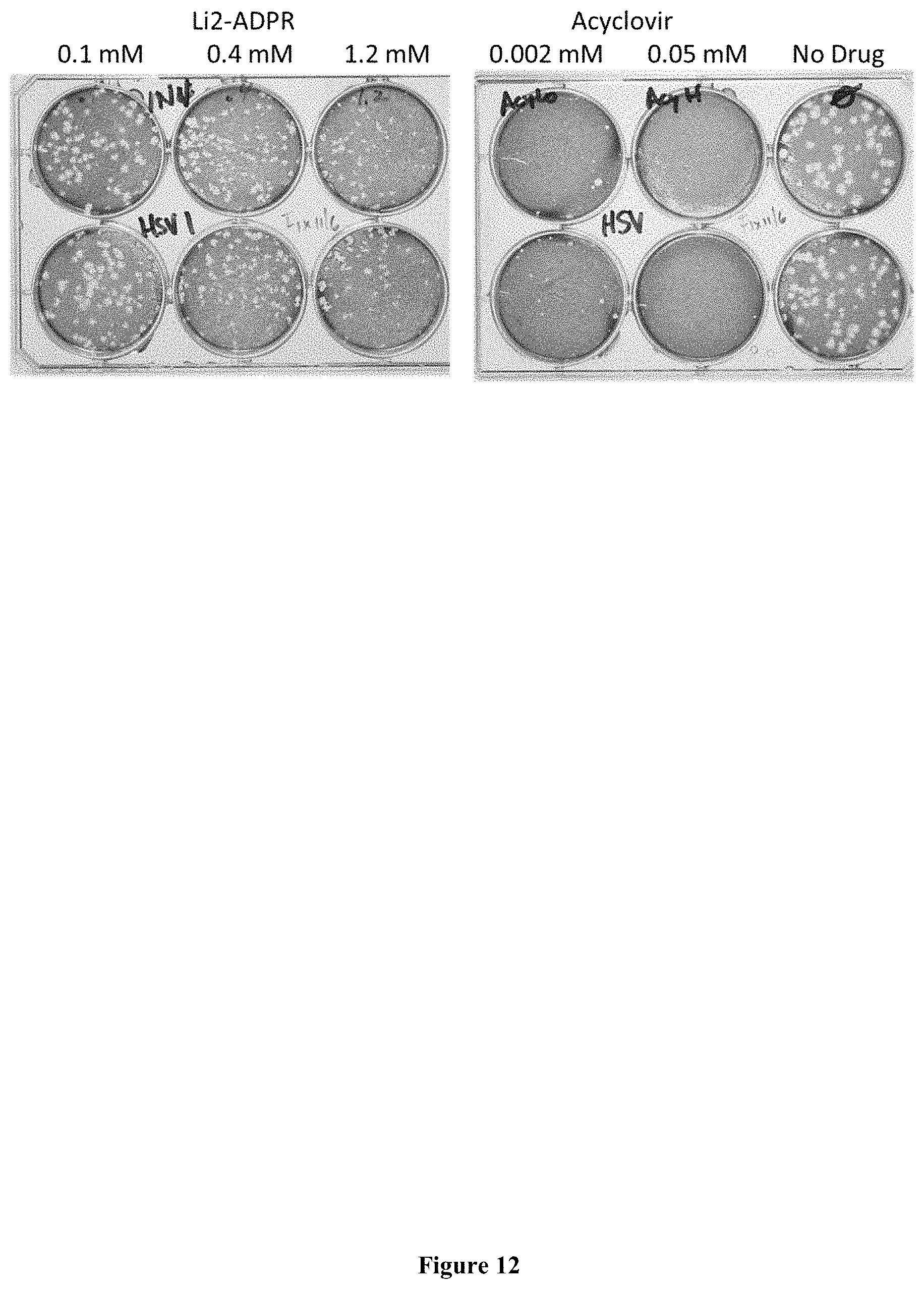Patent US11793826 Figure 14 – Methods for the use of 5′-adenosine diphosphate ribose (ADPR)
