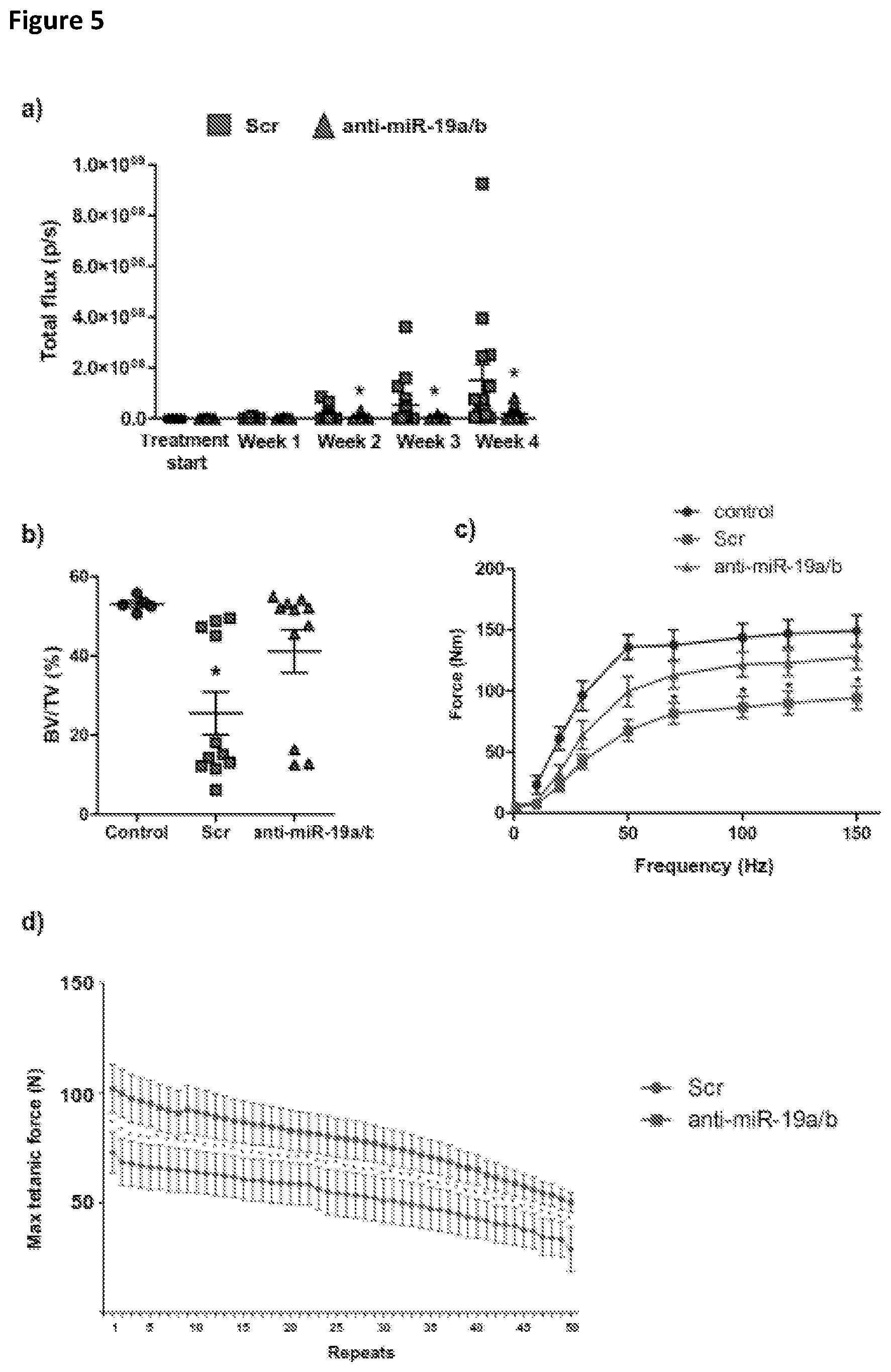 Patent US11793828 Figure 5 – MicroRNA 19A/19B for use in treating a pathological condition associated with bone loss or reduced muscle function