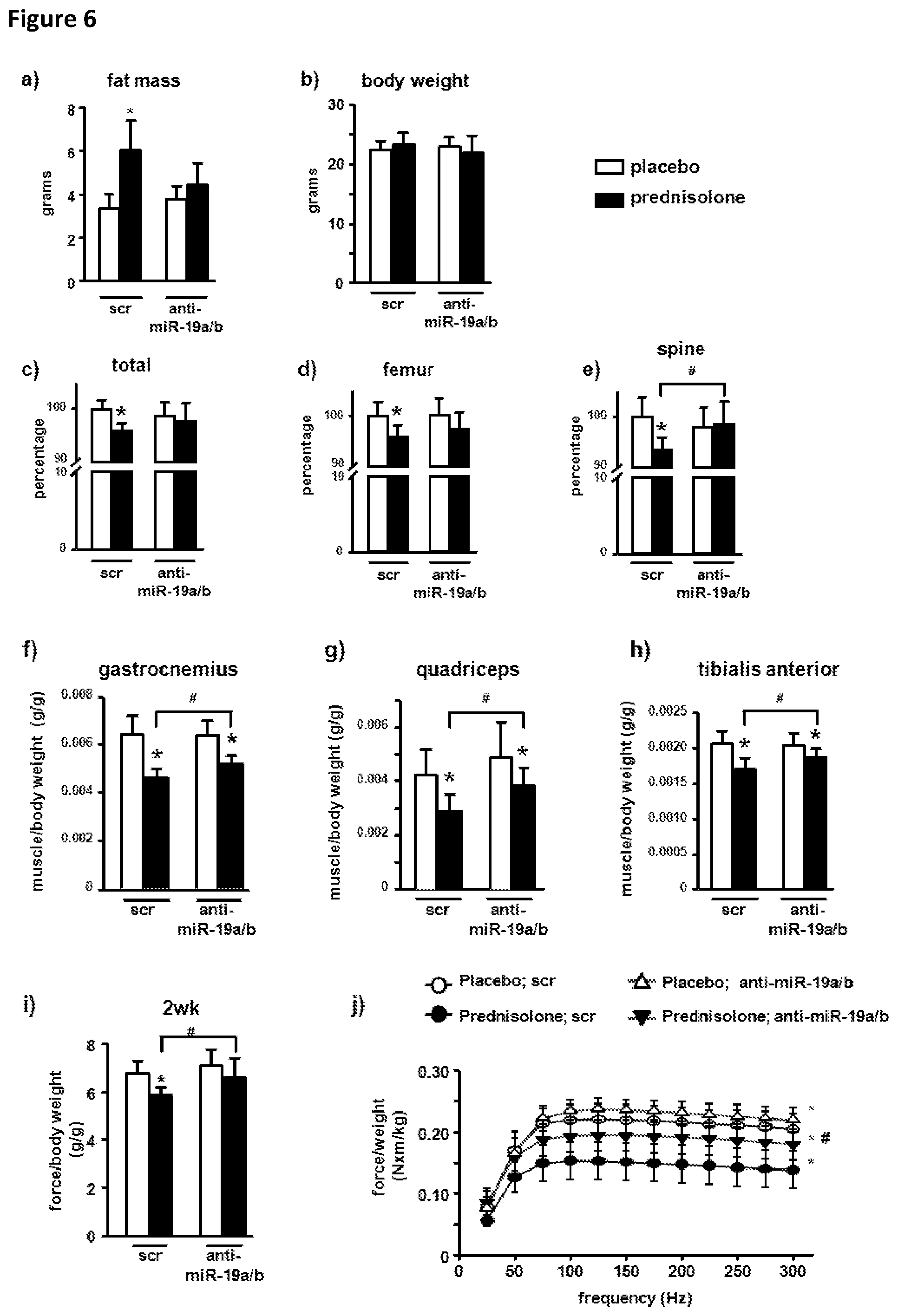 Patent US11793828 Figure 6 – MicroRNA 19A/19B for use in treating a pathological condition associated with bone loss or reduced muscle function
