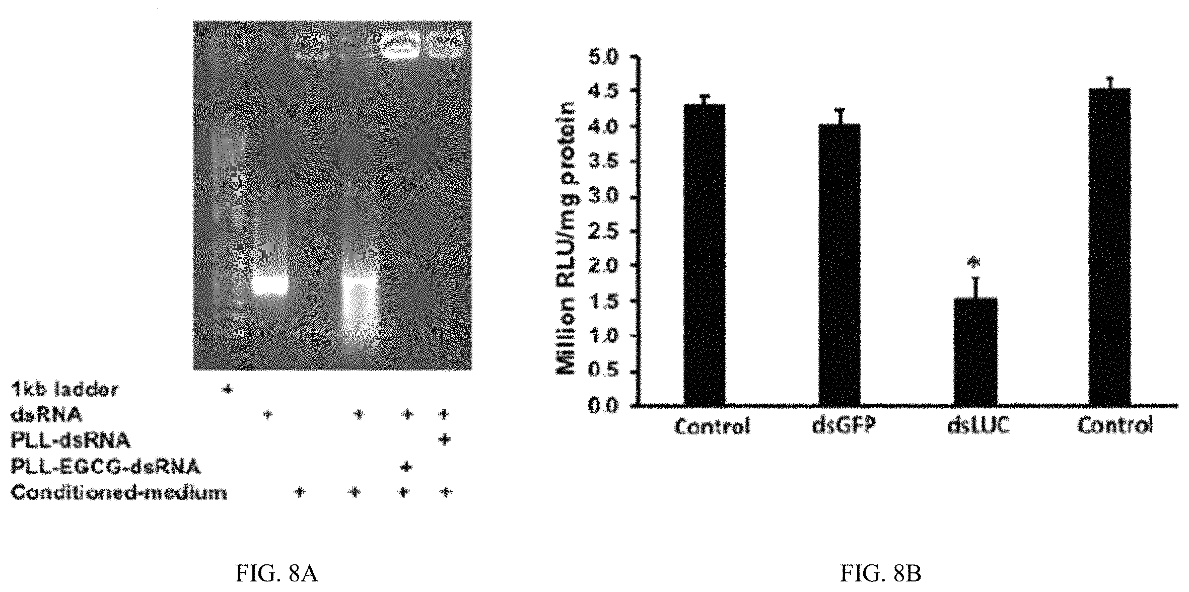 Patent US11793829 Figure 11 – Development of polylysine:epigallocatechin-3-o-gallate and dsRNA polyplexes for control of mosquitoes