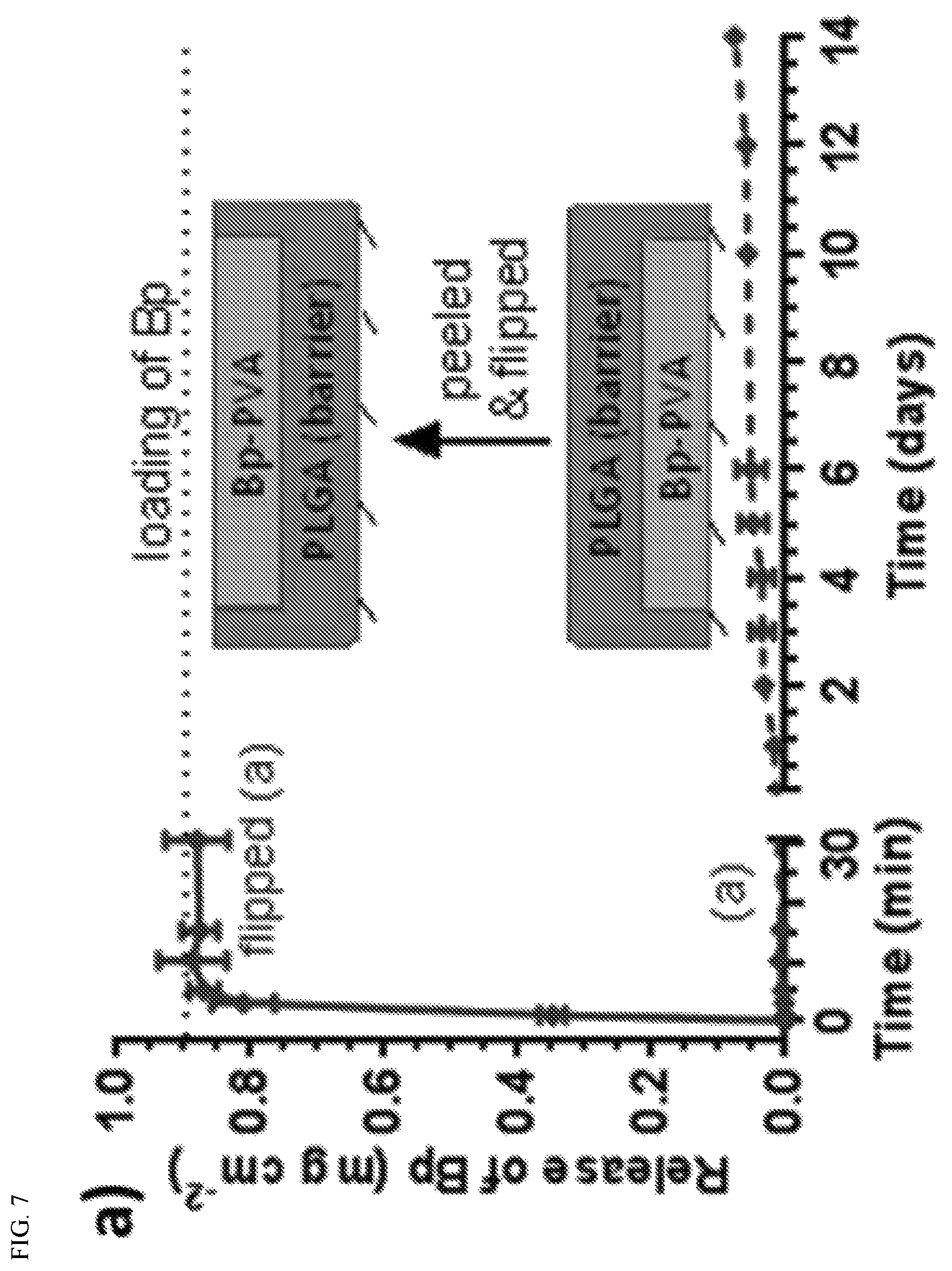 Patent US11793832 Figure 5 – Methods and compositions for wound healing