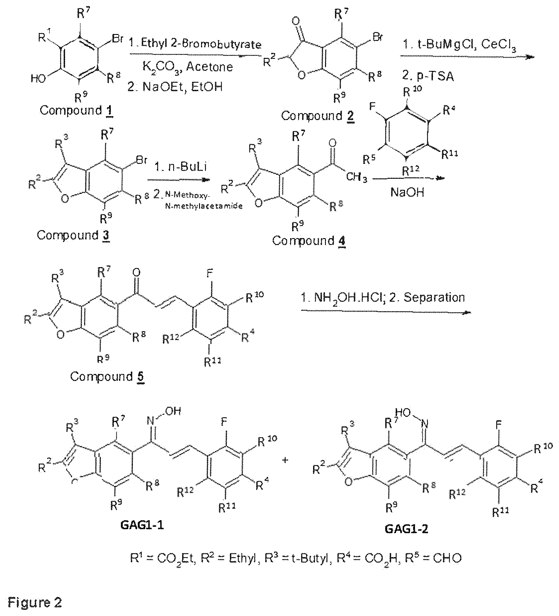 Patent US11793835 Figure 2 – Methods of using RARγ agonists for cancer treatment