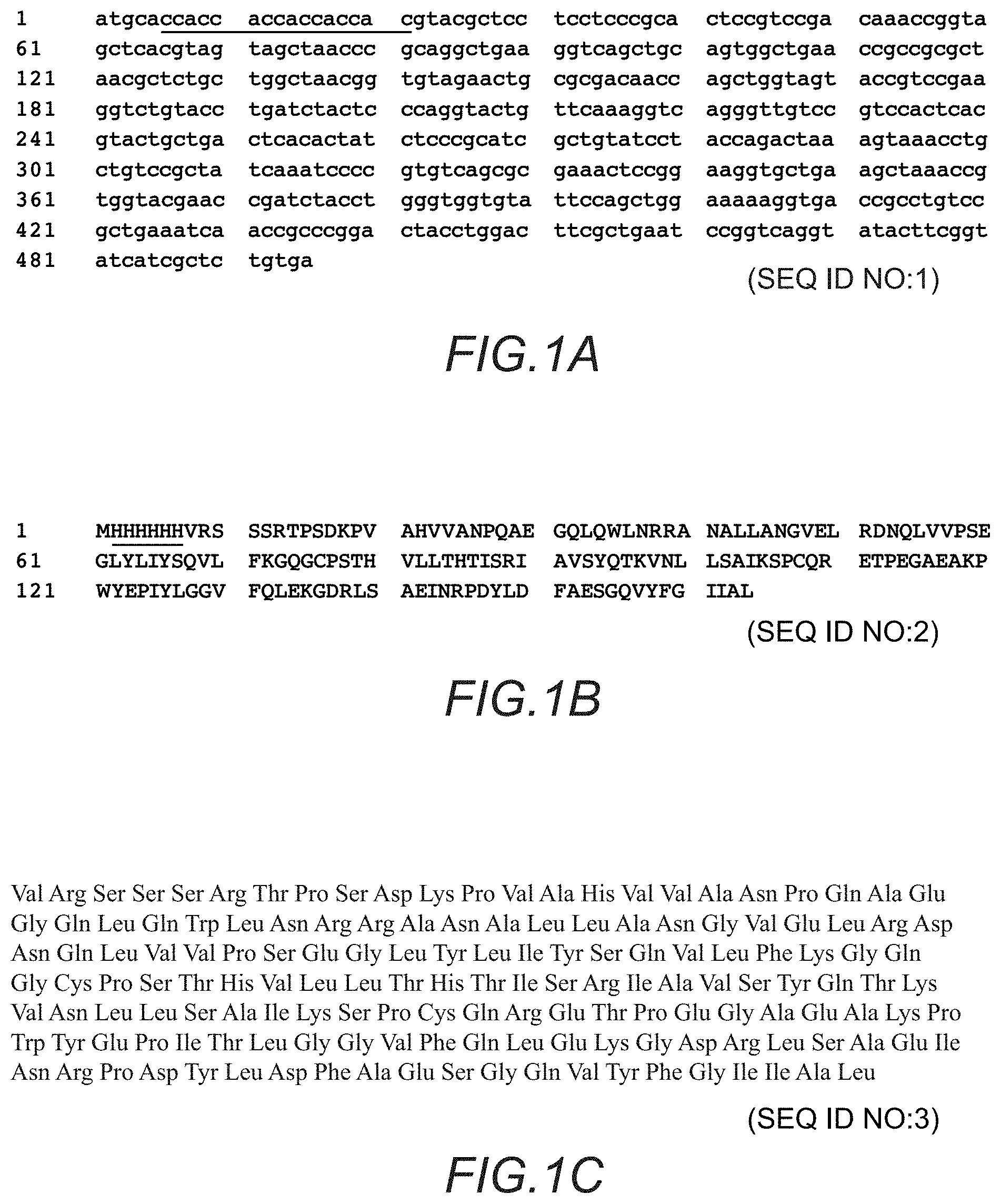 Patent US11793836 Figure 1 – Method for treating complications related to acute or chronic hyperglycemia