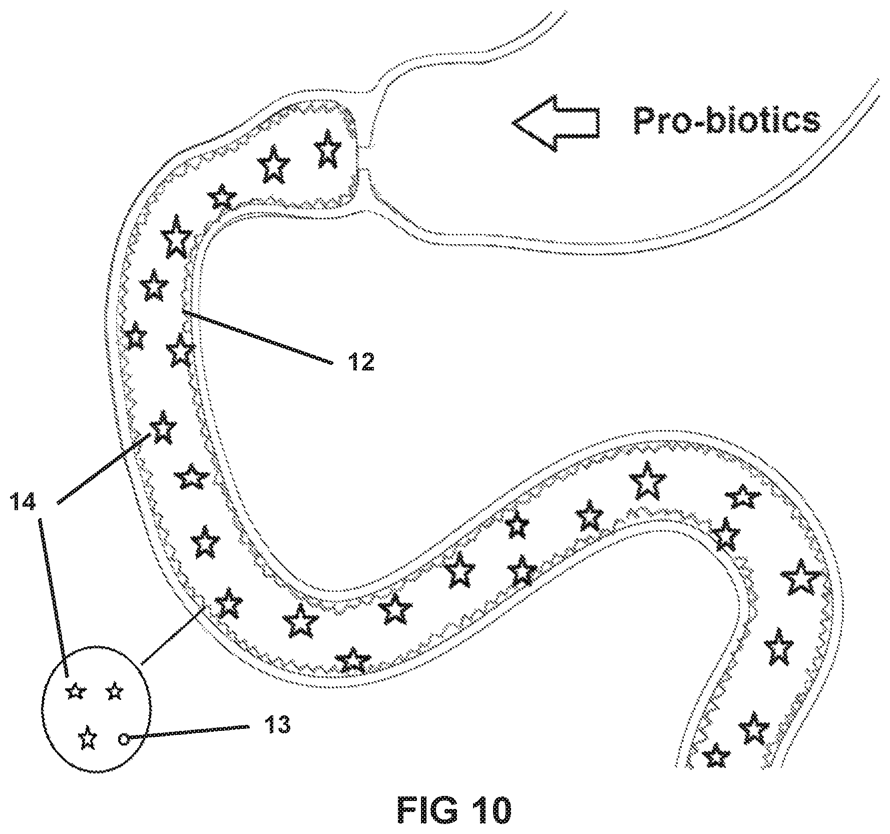 Patent US11793839 Figure 10 – System and method for affecting intestinal microbial flora