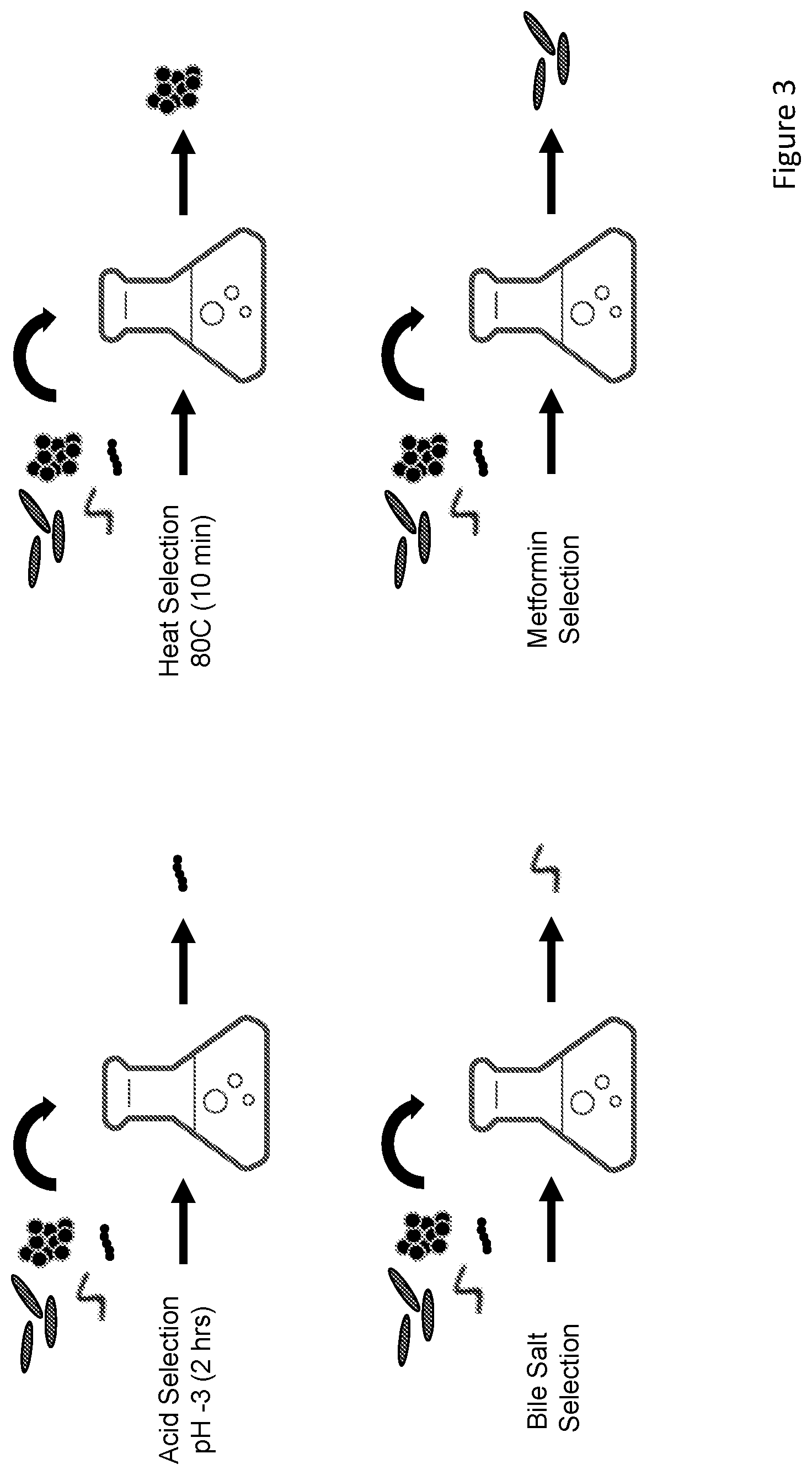 Patent US11793841 Figure 16 – Microbial compositions and methods for treating type 2 diabetes, obesity, and metabolic syndrome