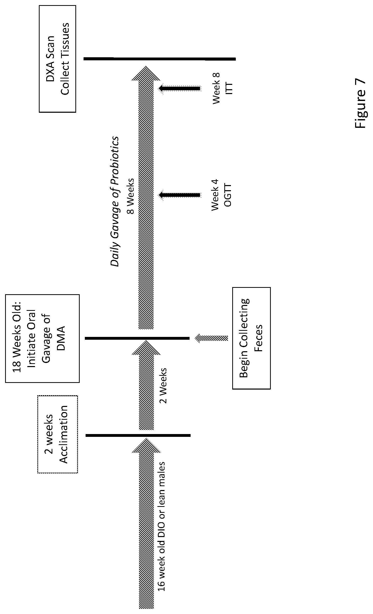 Patent US11793841 Figure 20 – Microbial compositions and methods for treating type 2 diabetes, obesity, and metabolic syndrome