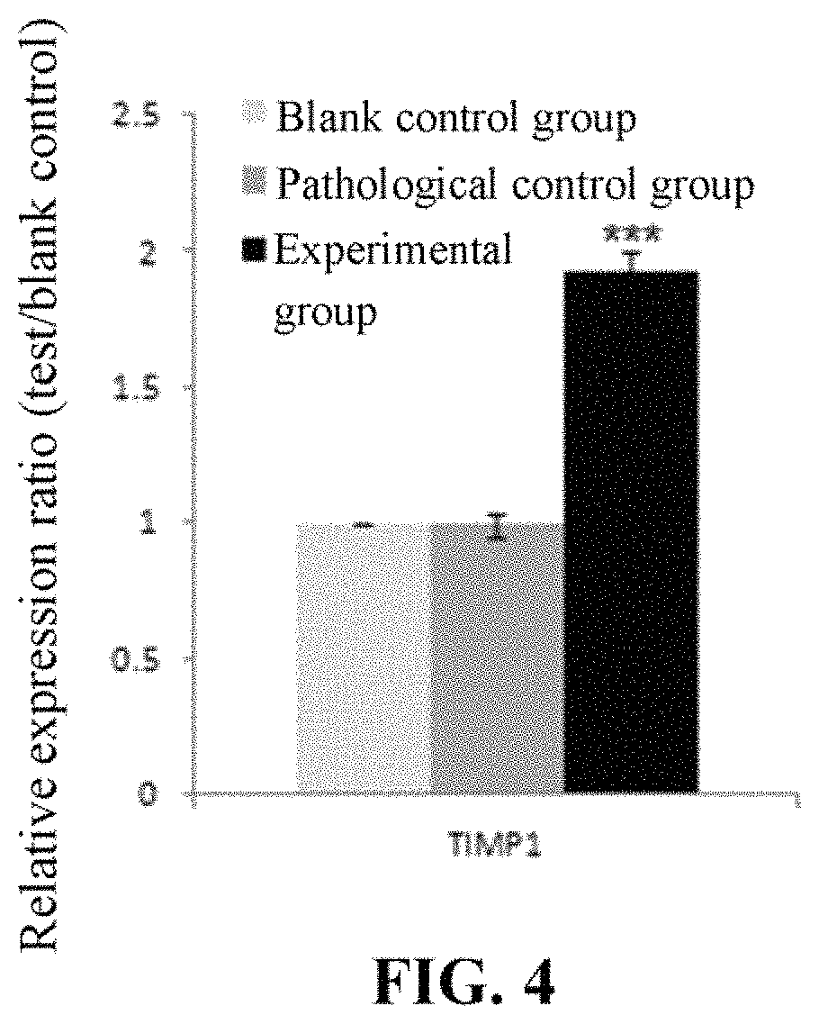 Patent US11793842 Figure 4 – Method for reducing inflammation of chondrocytes caused by uric acid crystals using Lactobacillus plantarum TCI227