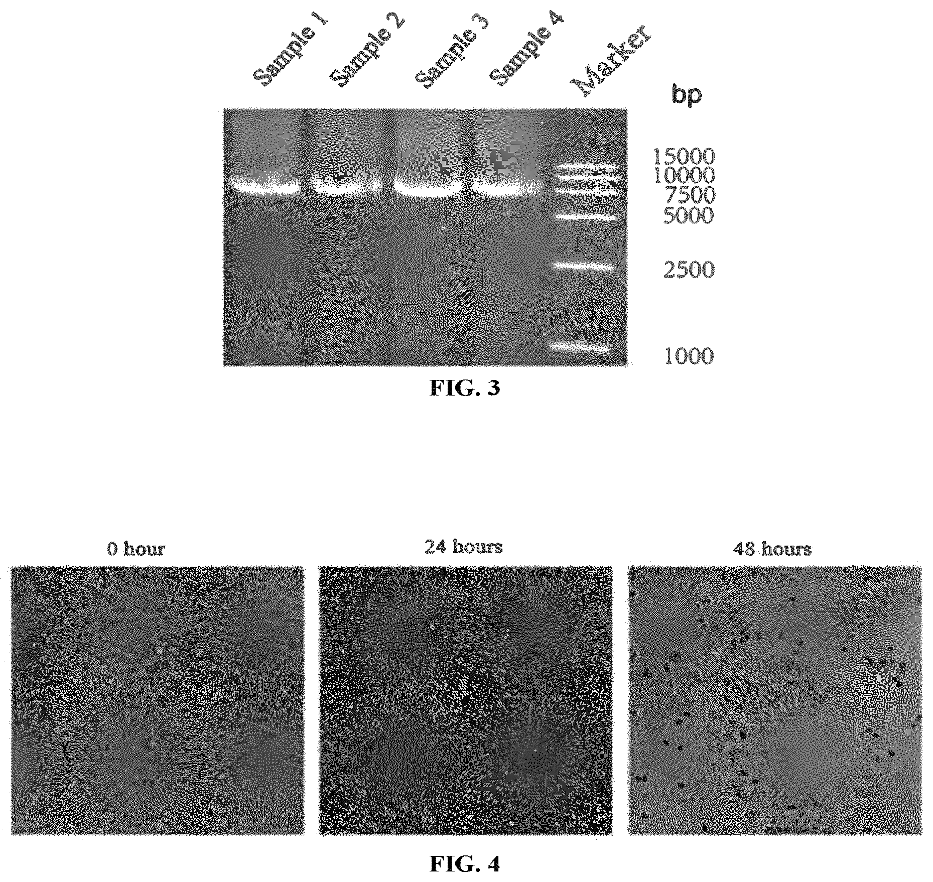 Patent US11793844 Figure 3 – Virus for treatment of tumor