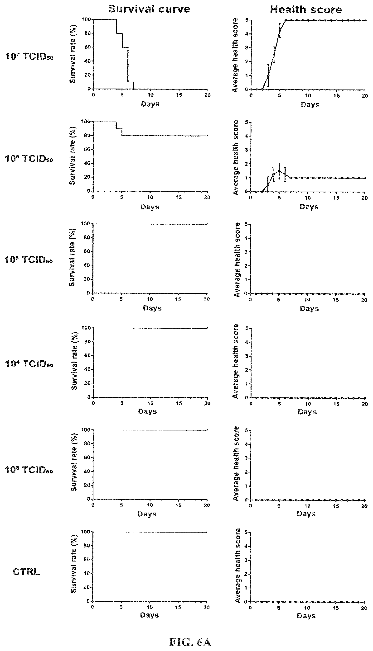 Patent US11793844 Figure 5 – Virus for treatment of tumor
