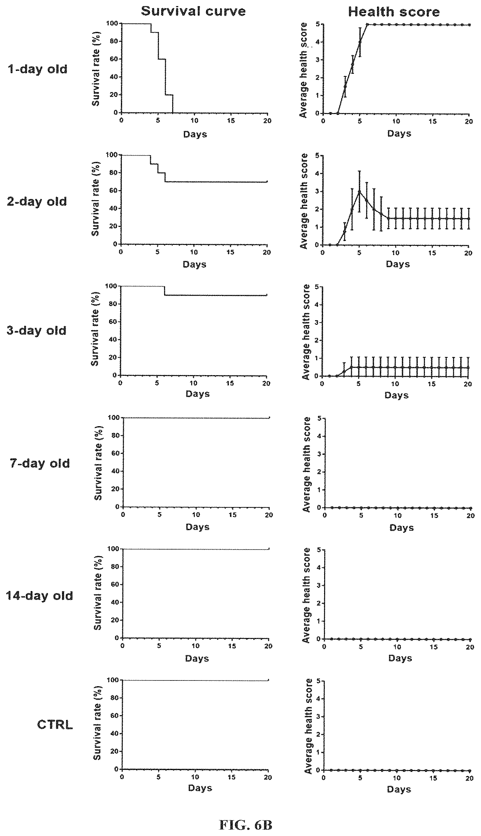 Patent US11793844 Figure 6 – Virus for treatment of tumor