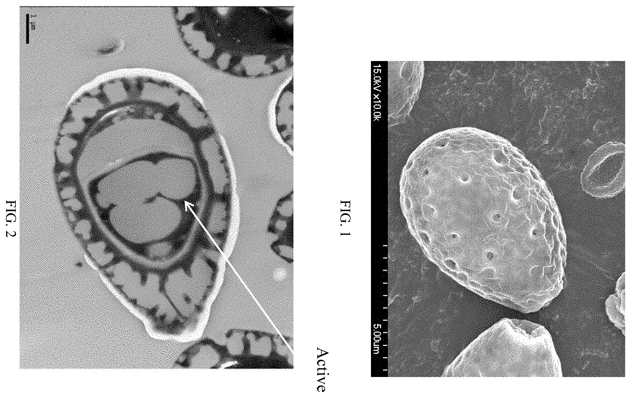 Patent US11793846 Figure 1 – Bitter Ganoderma lucidum spore powder and preparation method thereof