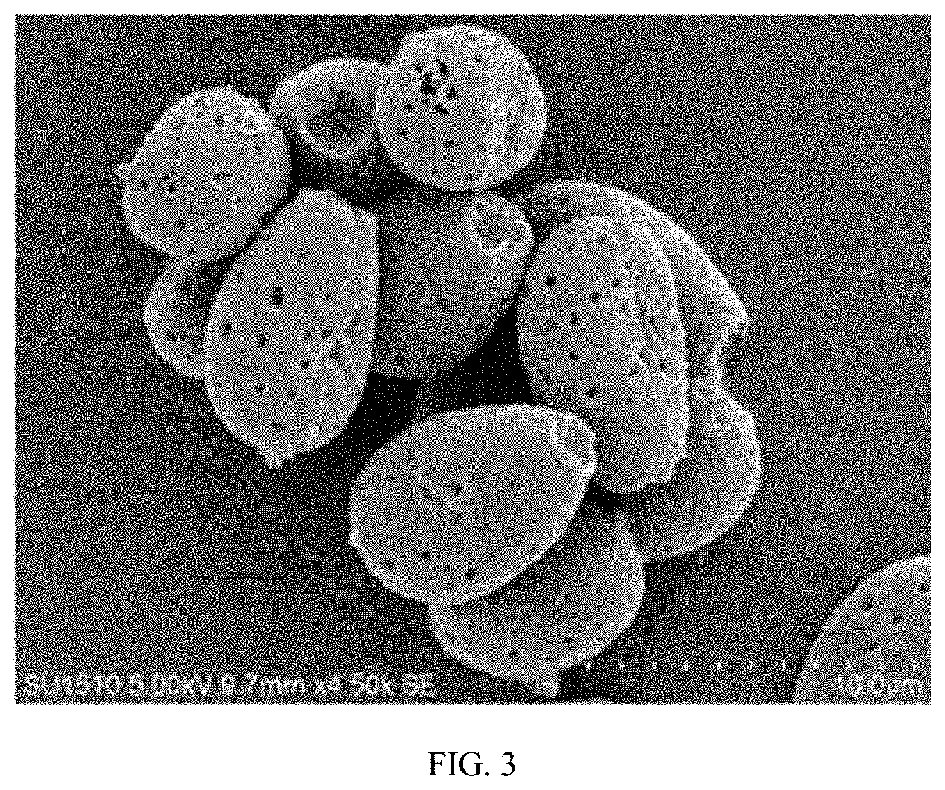 Patent US11793846 Figure 2 – Bitter Ganoderma lucidum spore powder and preparation method thereof