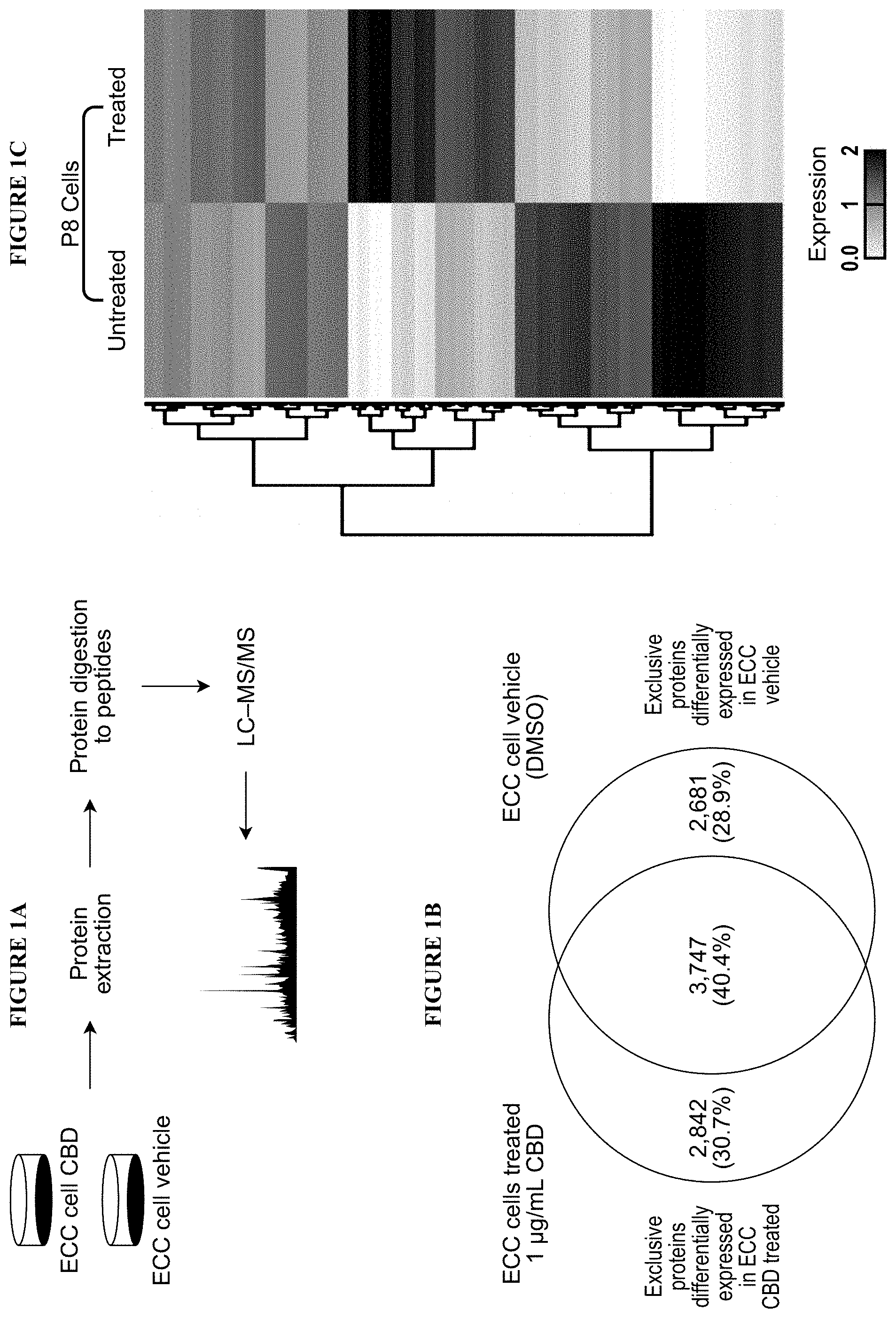 Patent US11793847 Figure 1 – Methods of treating endometrial cancer using hemp extract