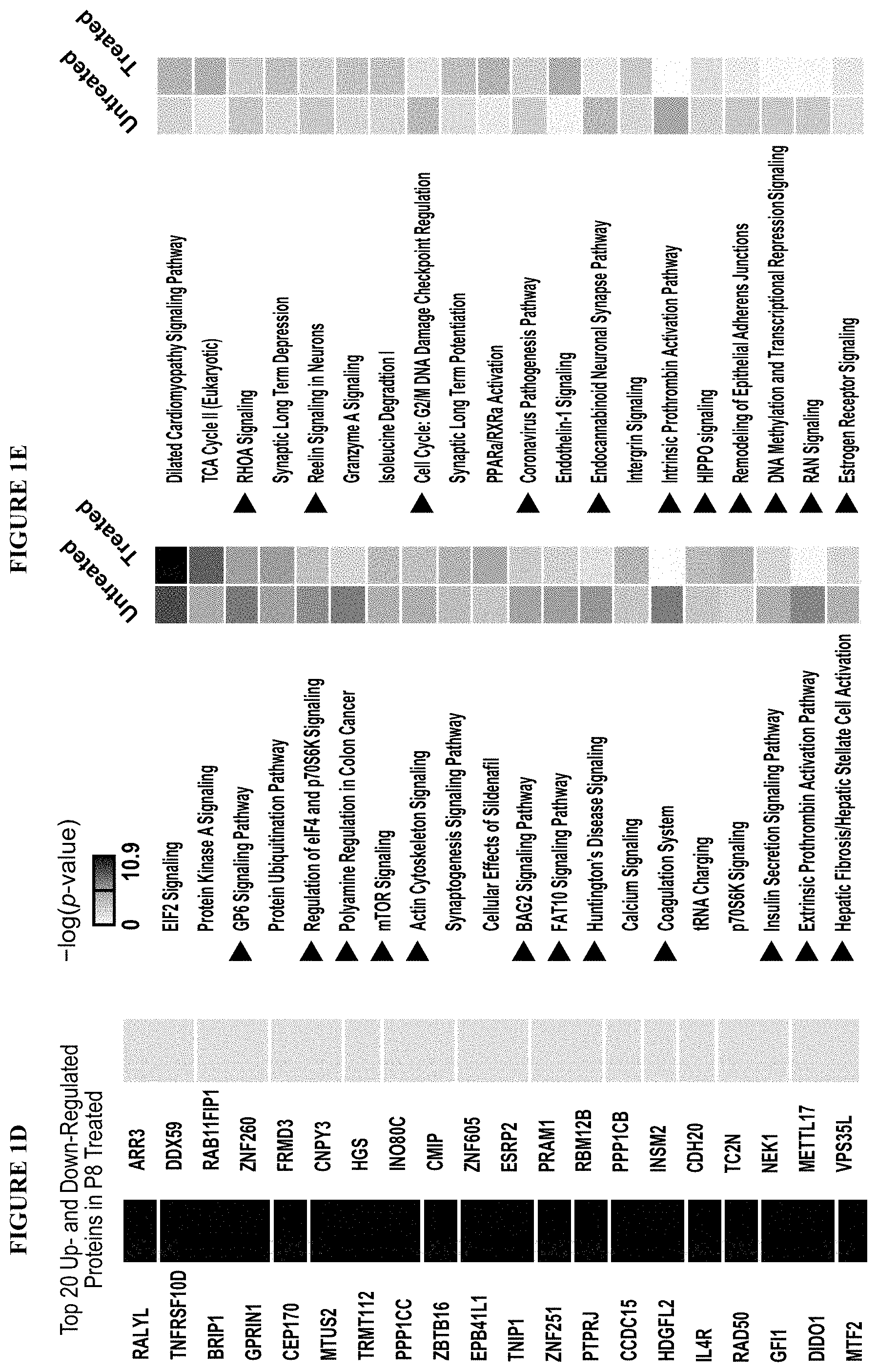 Patent US11793847 Figure 2 – Methods of treating endometrial cancer using hemp extract