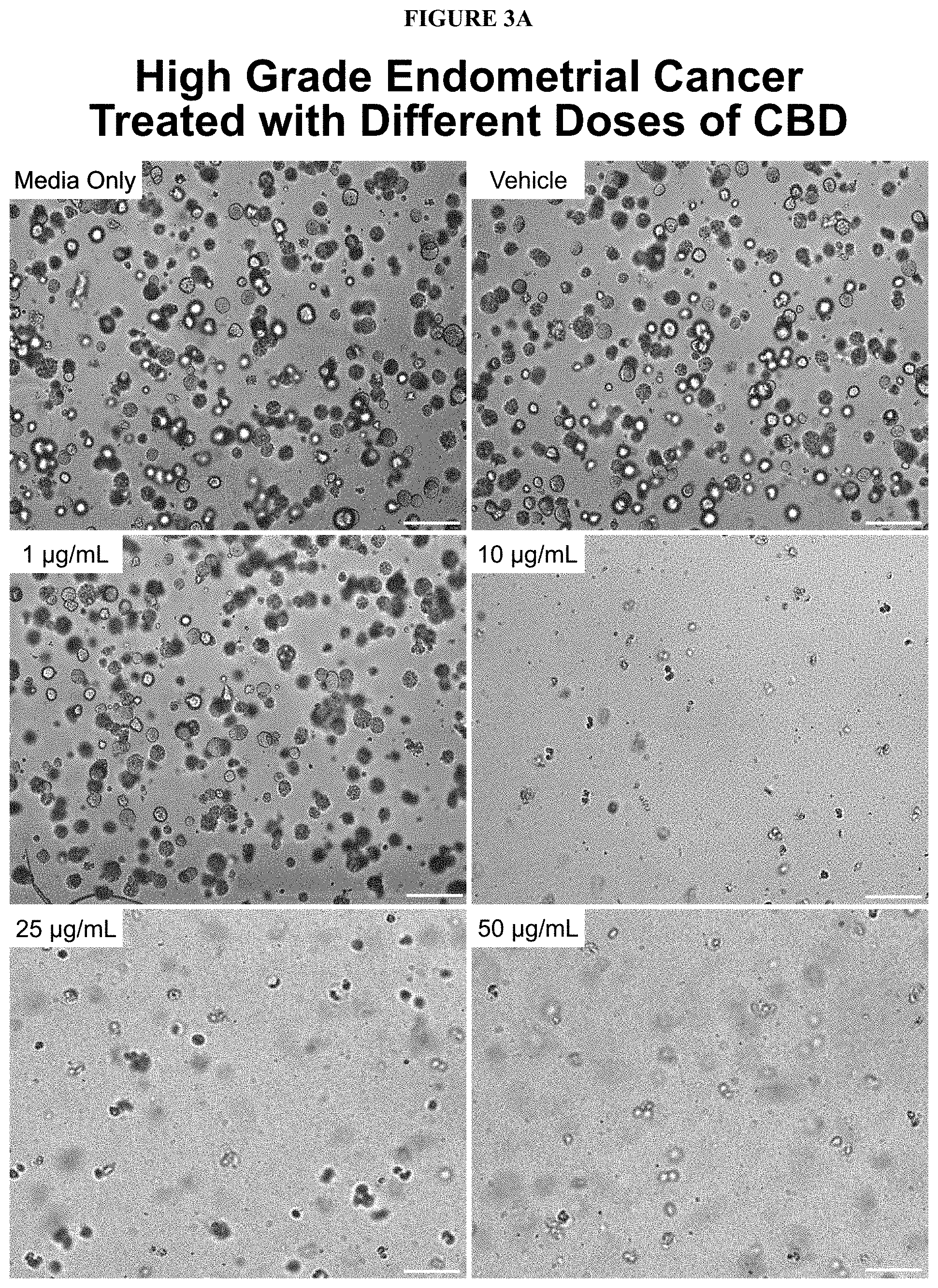 Patent US11793847 Figure 6 – Methods of treating endometrial cancer using hemp extract
