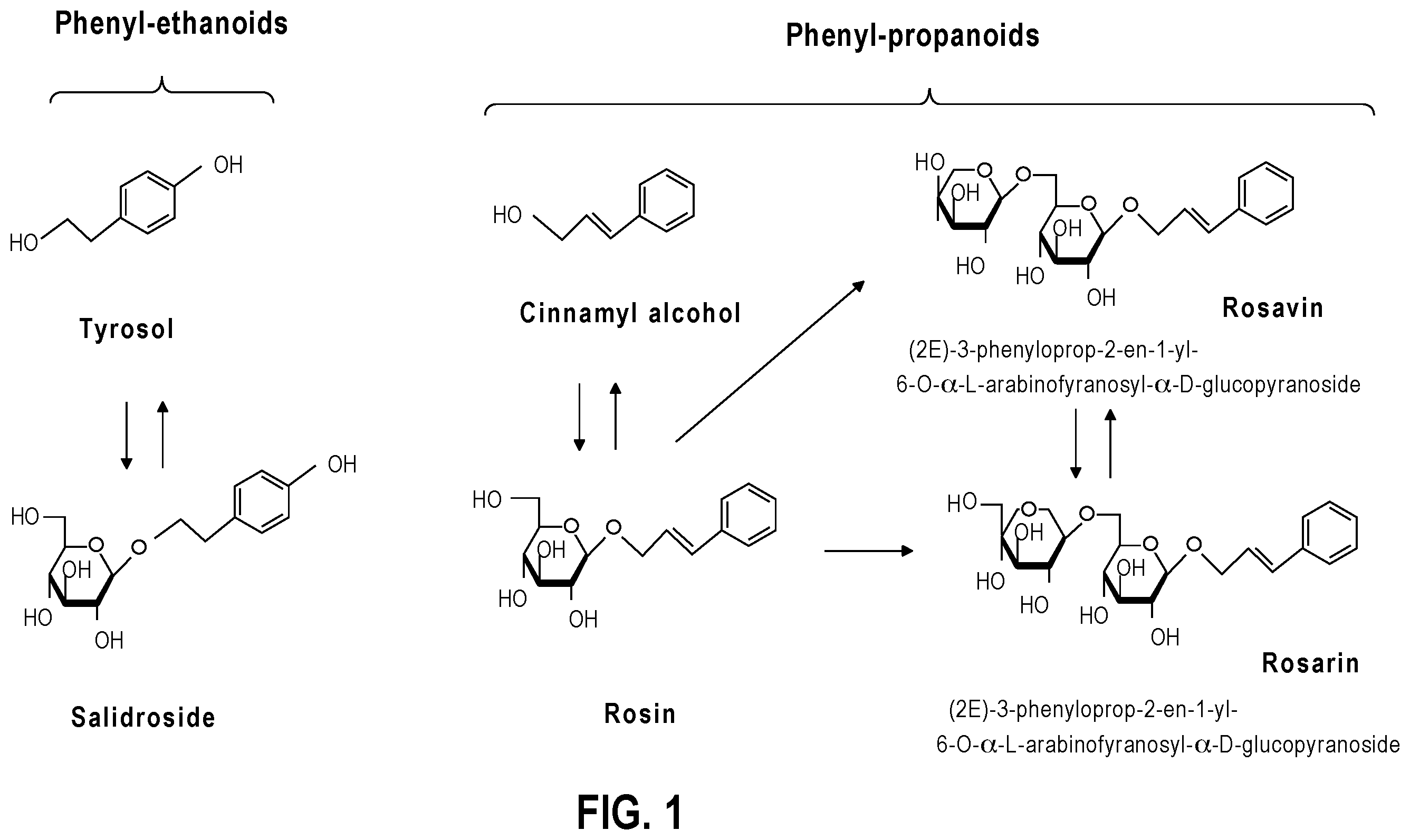 Patent US11793848 Figure 1 – High yield extraction method for and products of Rhodiola plants