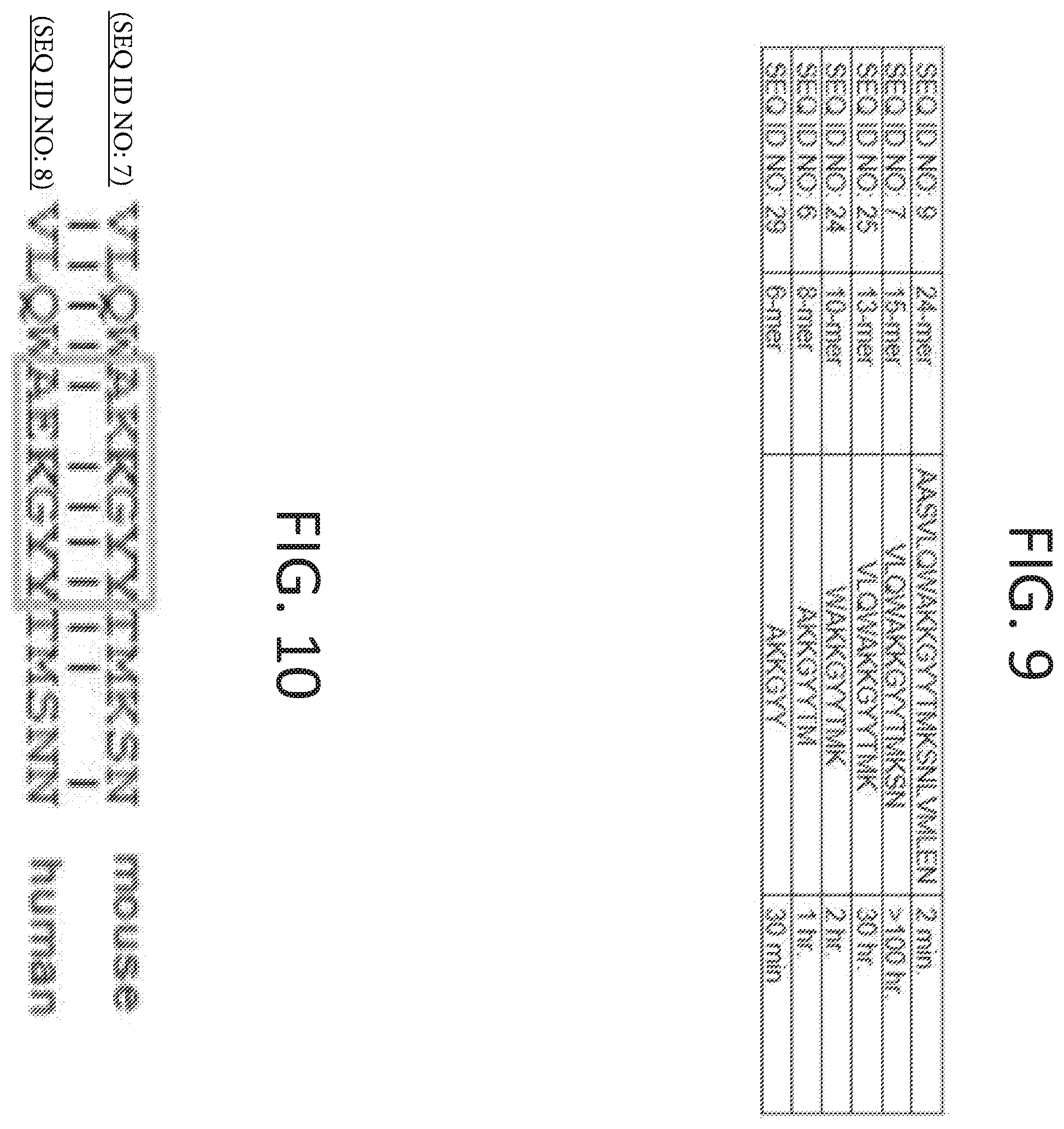 Patent US11793854 Figure 6 – Methods for reducing symptoms of multiple sclerosis using a six-amino acid long peptide that inhibits CD40-CD150 interaction