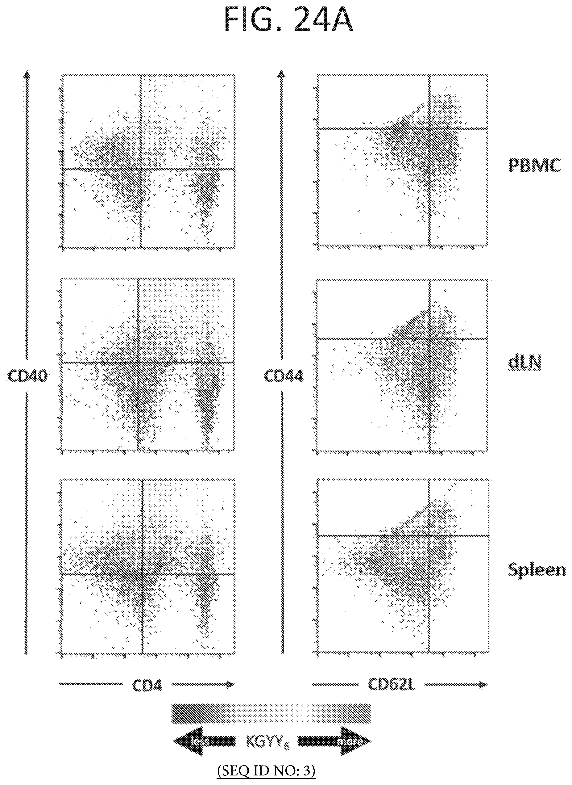 Patent US11793854 Figure 19 – Methods for reducing symptoms of multiple sclerosis using a six-amino acid long peptide that inhibits CD40-CD150 interaction