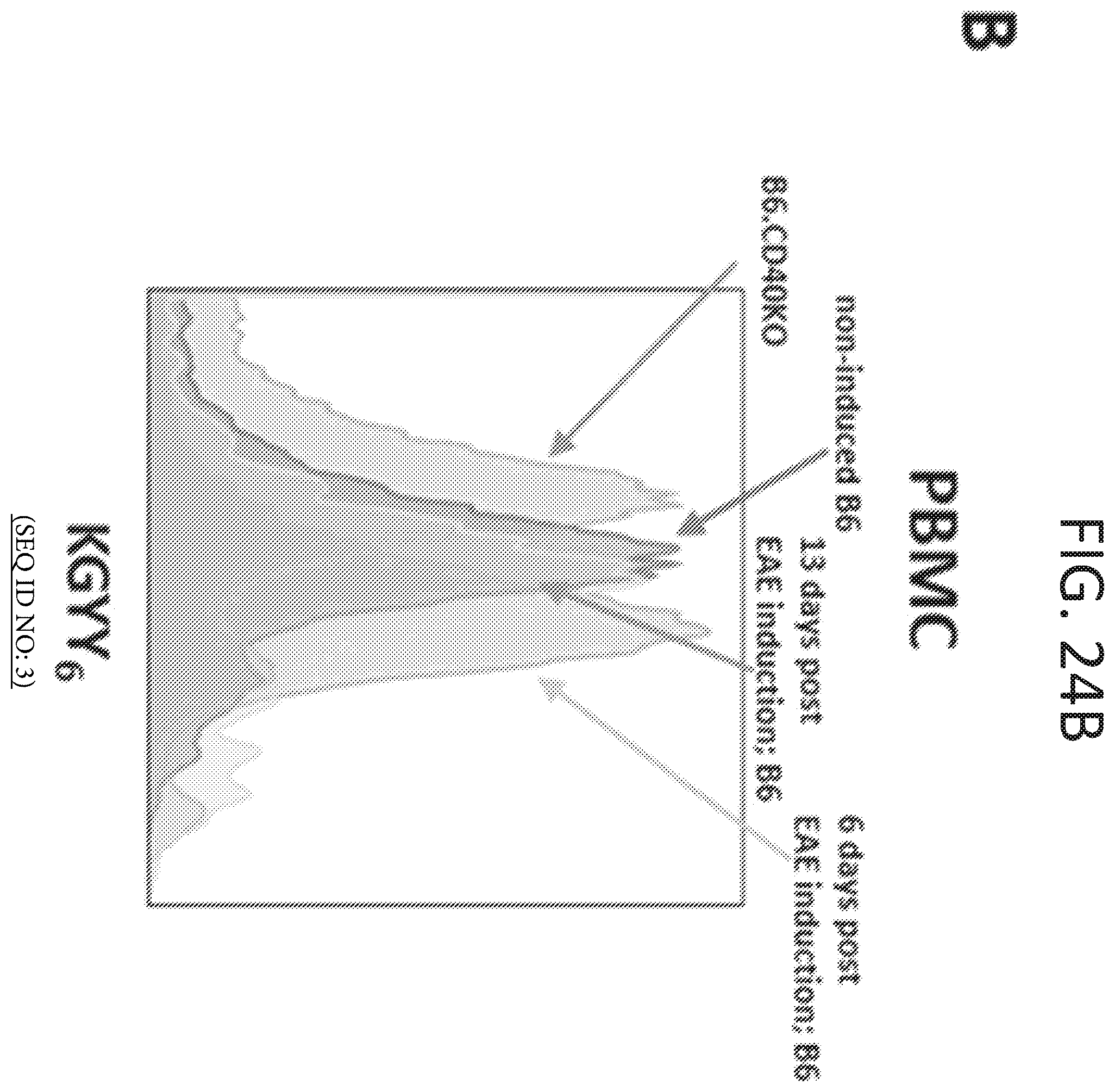Patent US11793854 Figure 20 – Methods for reducing symptoms of multiple sclerosis using a six-amino acid long peptide that inhibits CD40-CD150 interaction