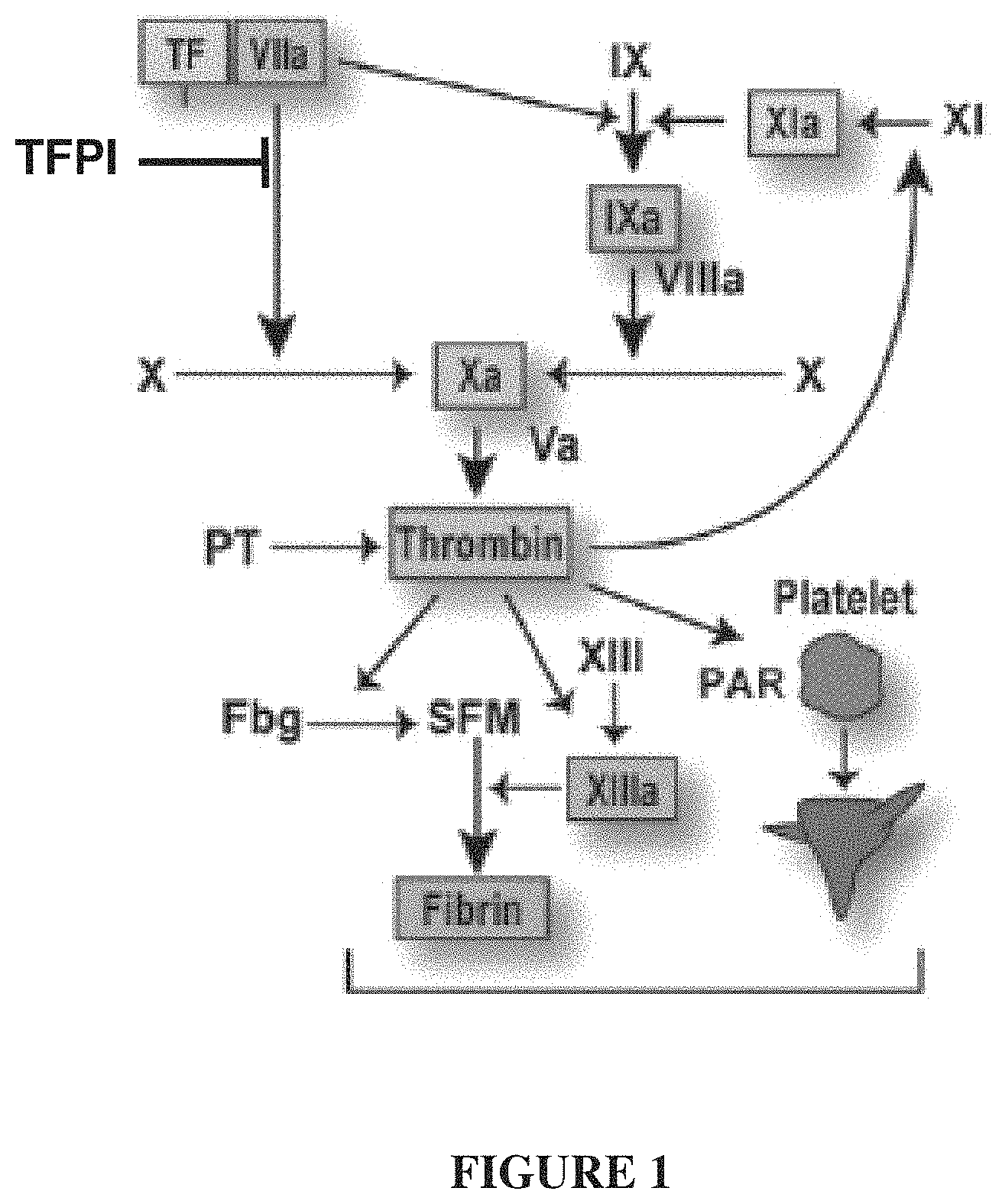 Patent US11793855 Figure 1 – TFPI inhibitors and methods of use