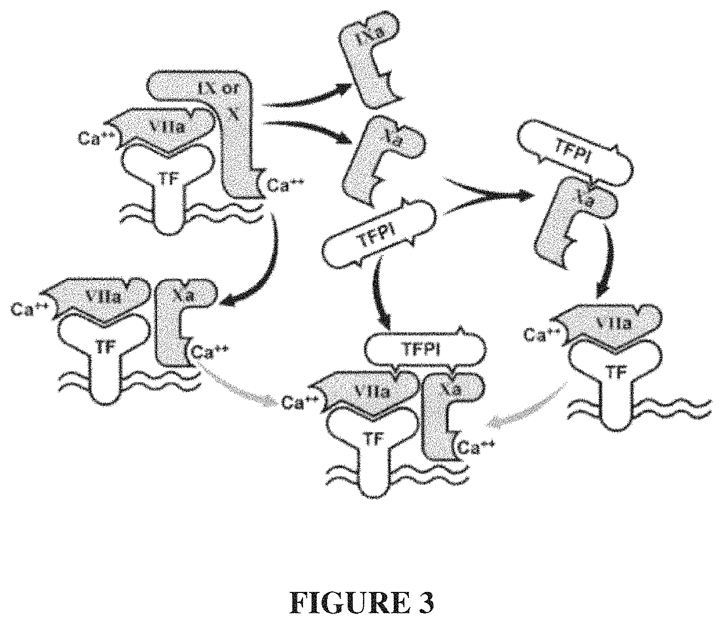 Patent US11793855 Figure 3 – TFPI inhibitors and methods of use