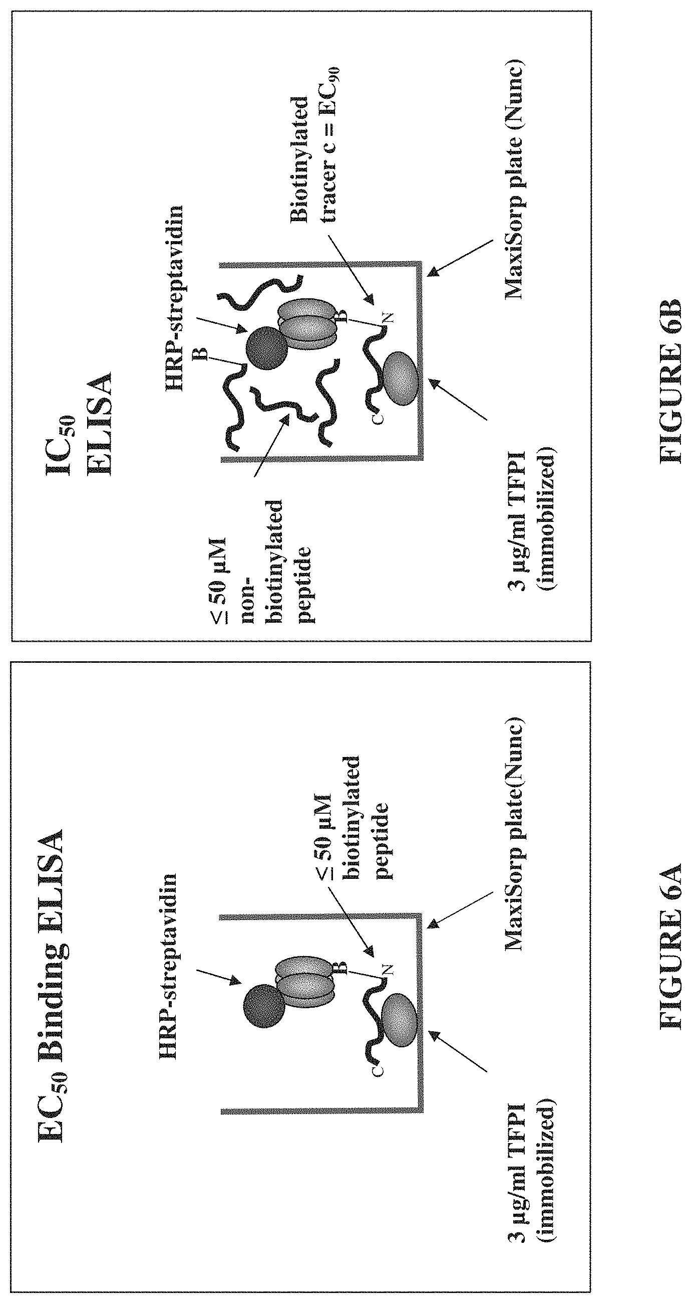 Patent US11793855 Figure 6 – TFPI inhibitors and methods of use