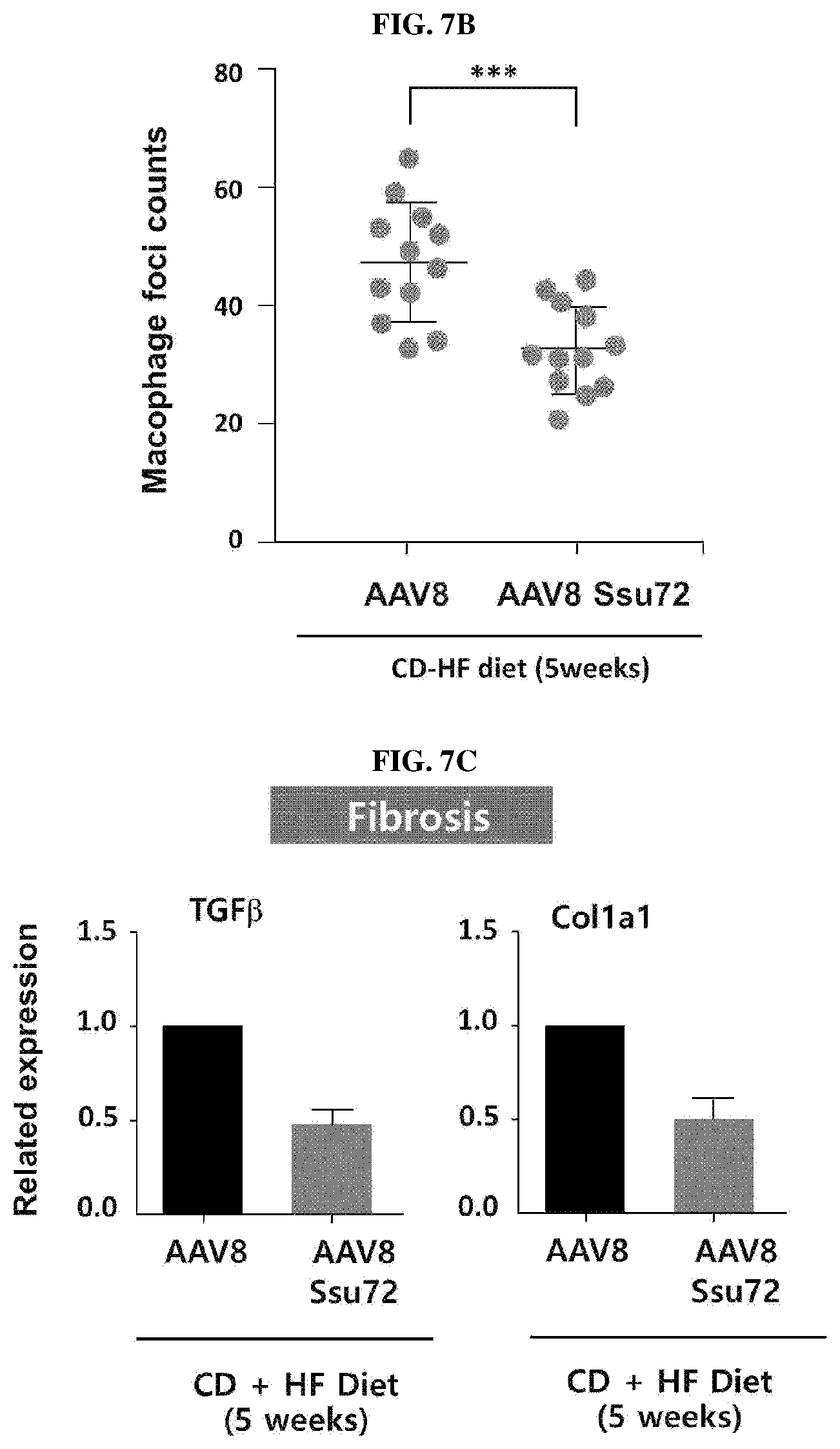 Patent US11793862 Figure 6 – Pharmaceutical composition for treating non-alcoholic fatty liver, non-alcoholic steatohepatitis, or hepatic fibrosis using Ssu72 protein or a polynucleotide encoding the same