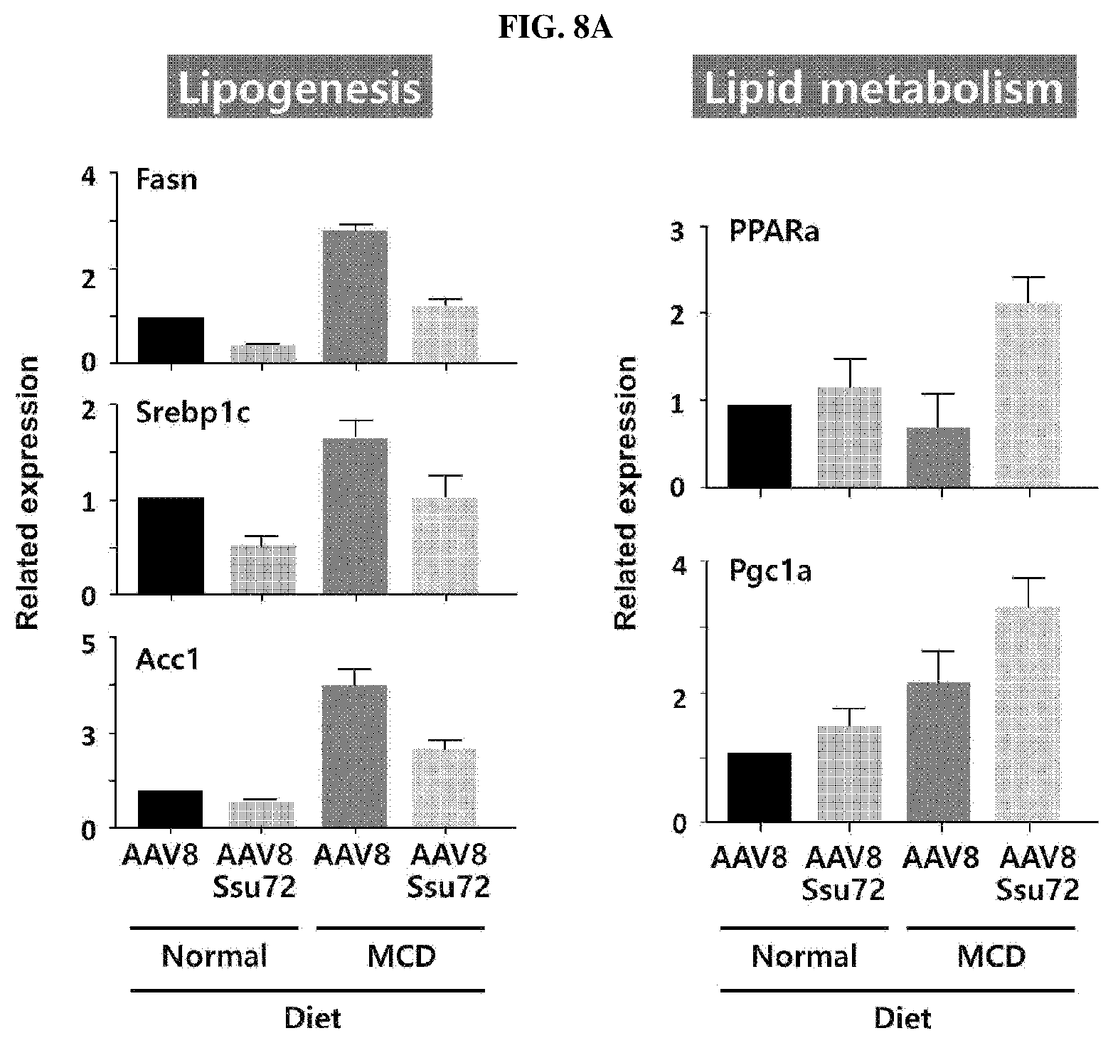 Patent US11793862 Figure 7 – Pharmaceutical composition for treating non-alcoholic fatty liver, non-alcoholic steatohepatitis, or hepatic fibrosis using Ssu72 protein or a polynucleotide encoding the same