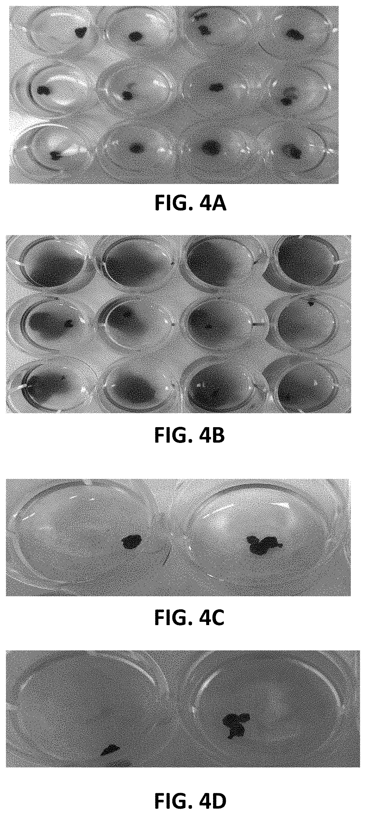 Patent US11793863 Figure 3 – Functionalized microbubble embodiments for ultrasound-mediated treatment and methods of making and using the same
